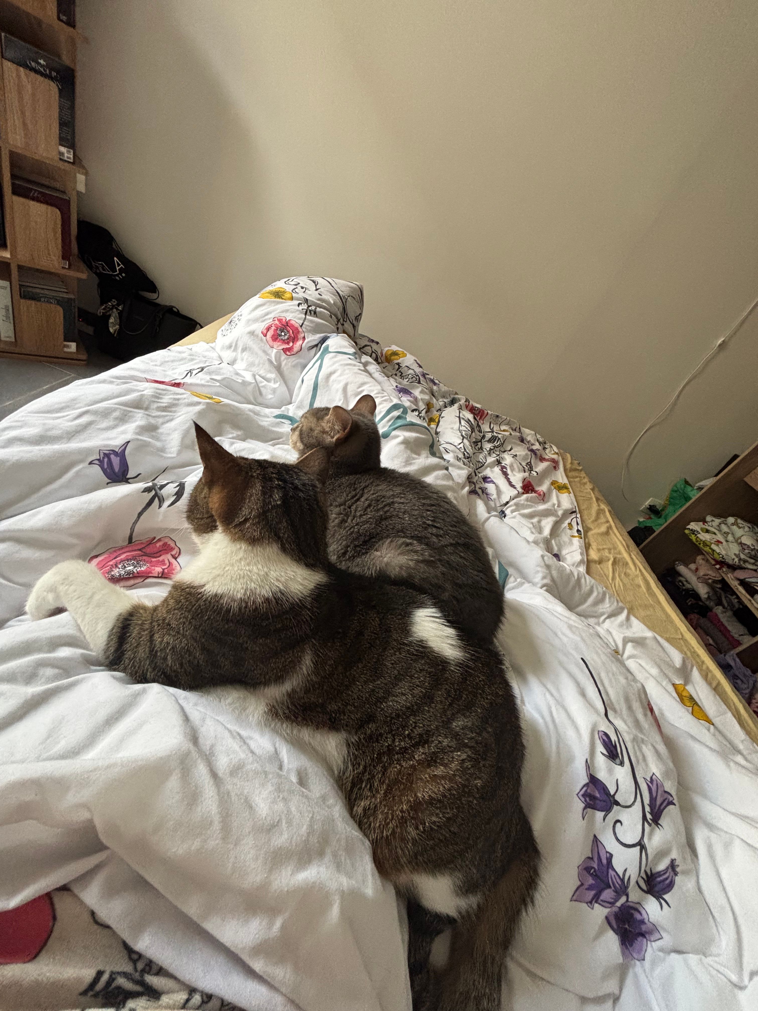 image-10