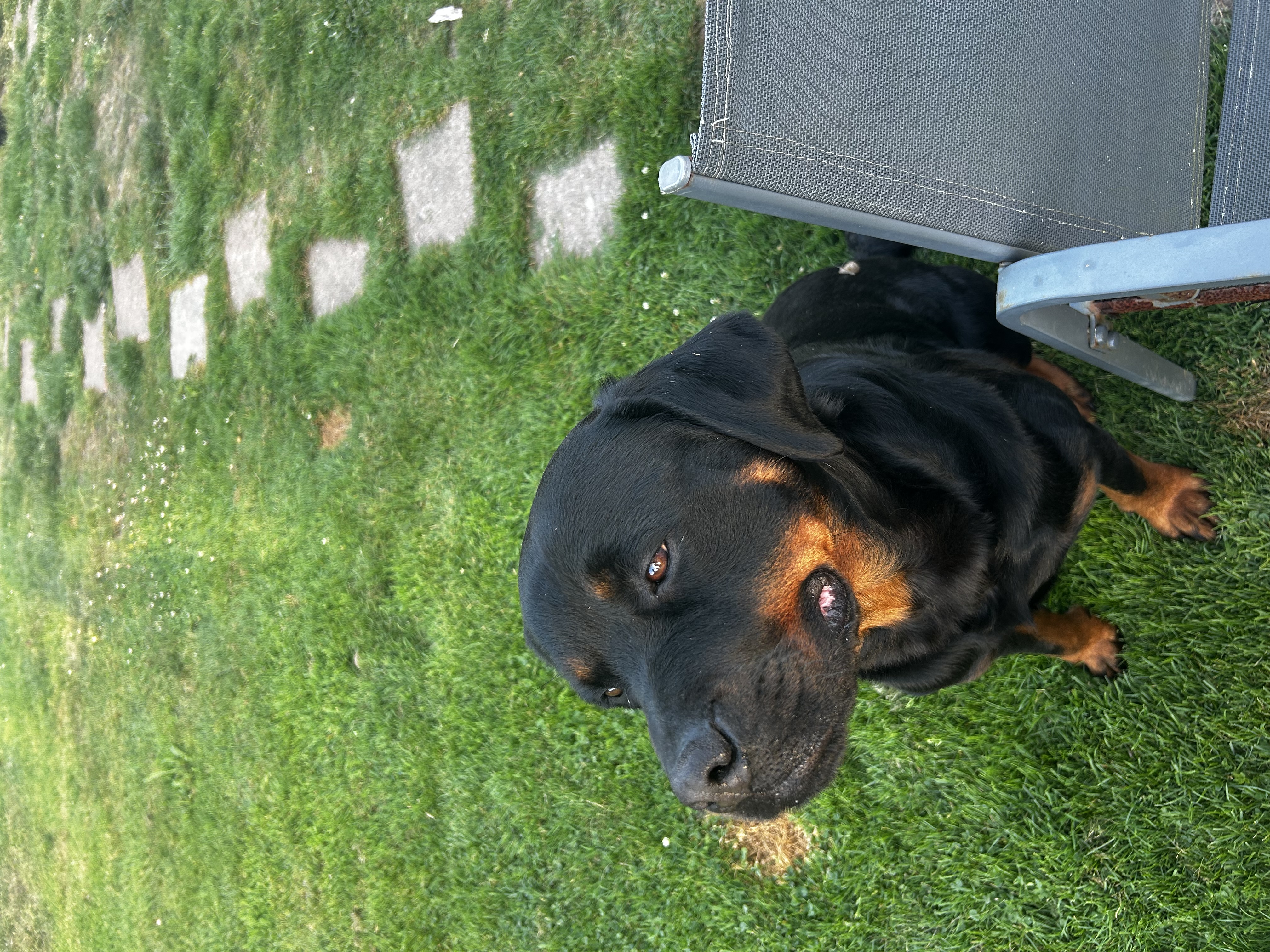 image-7