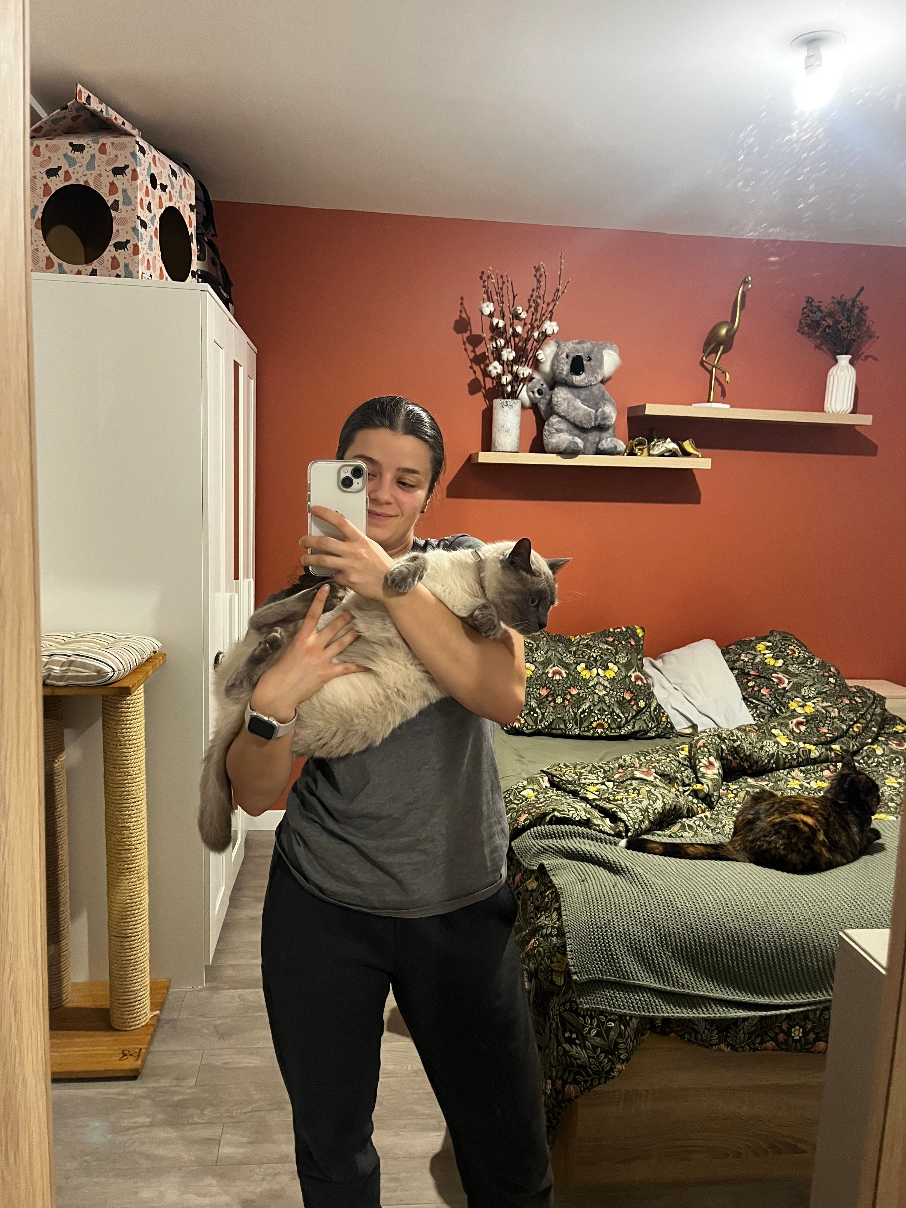 image-11