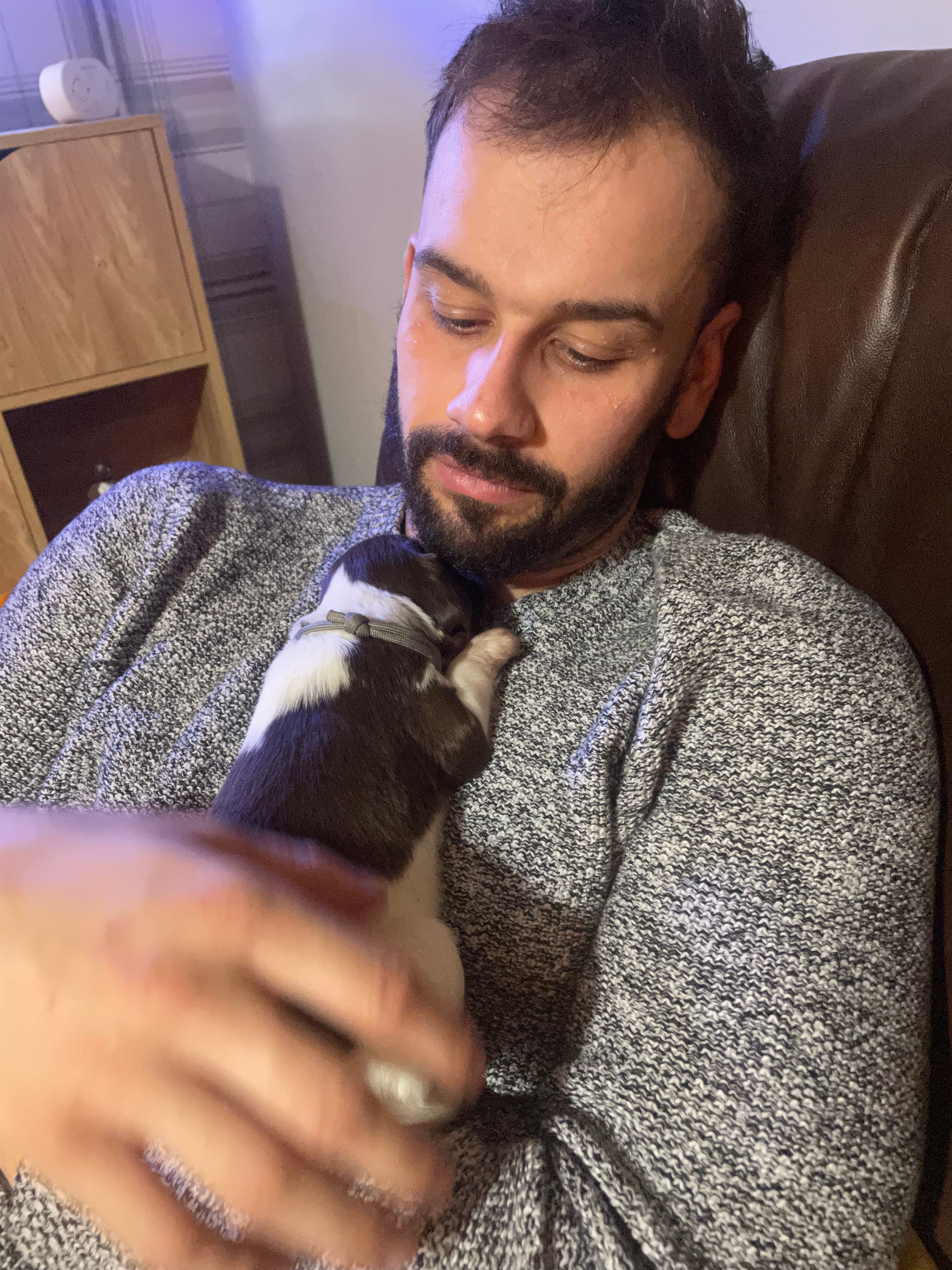image-8