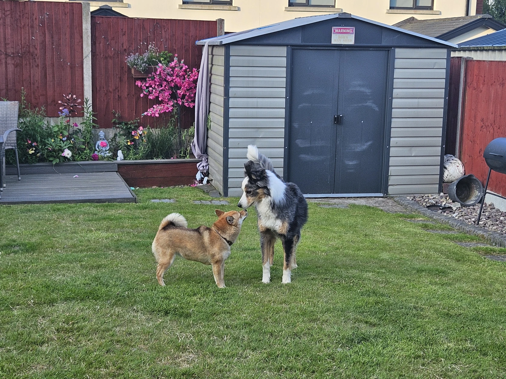 image-49