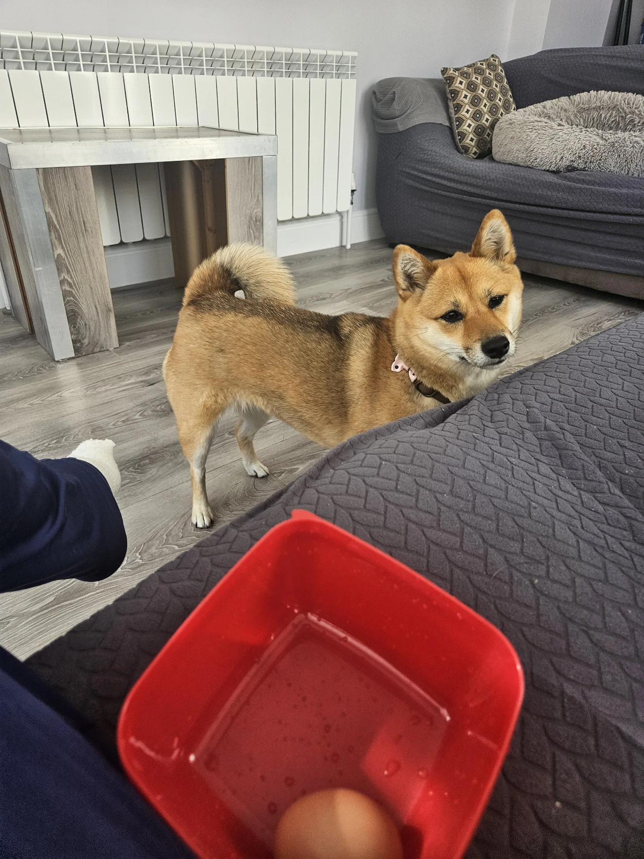 image-47