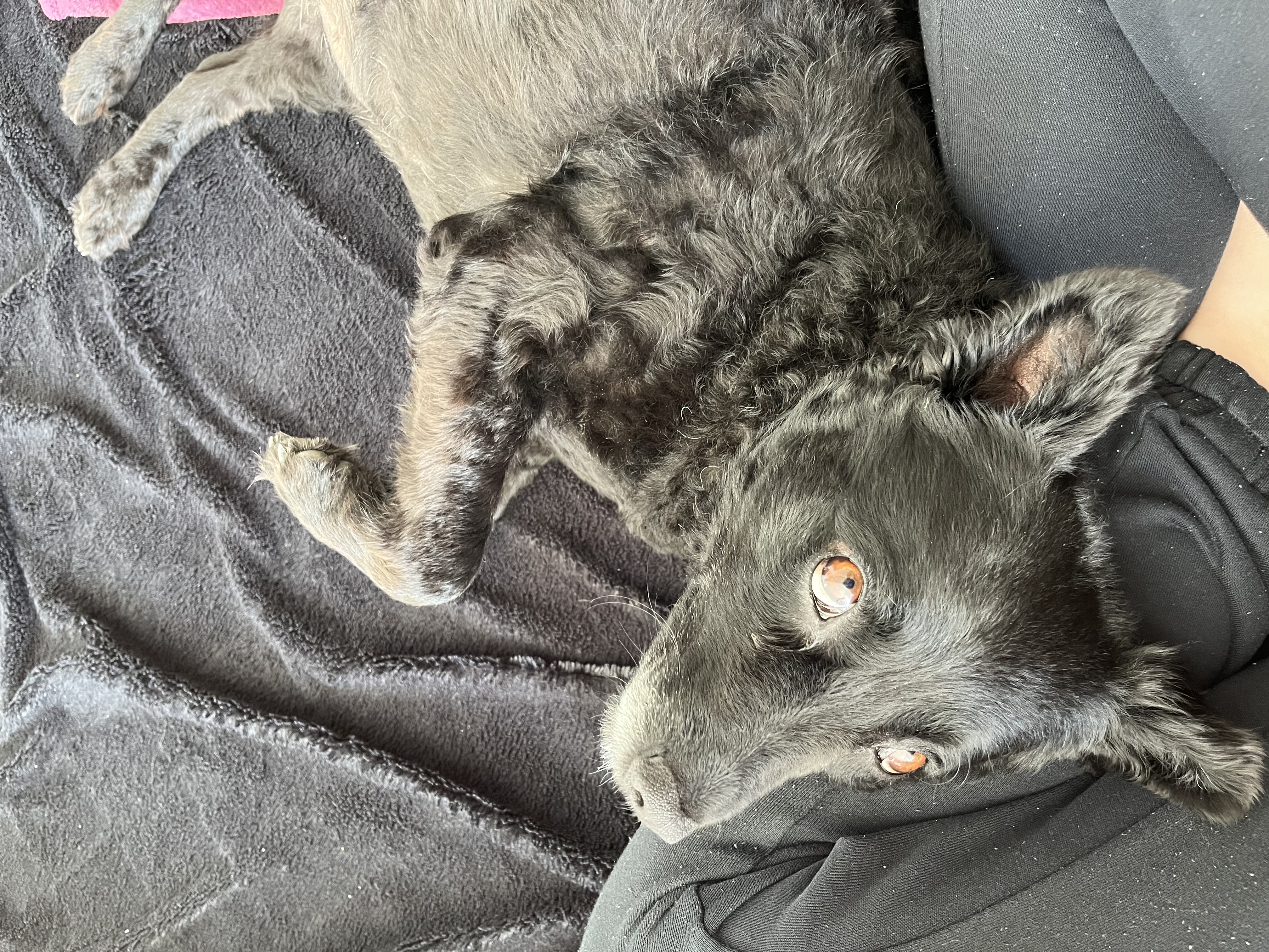 image-8