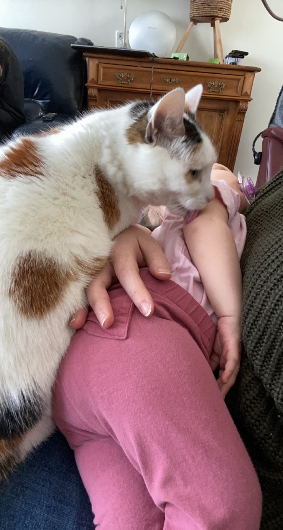 image-7