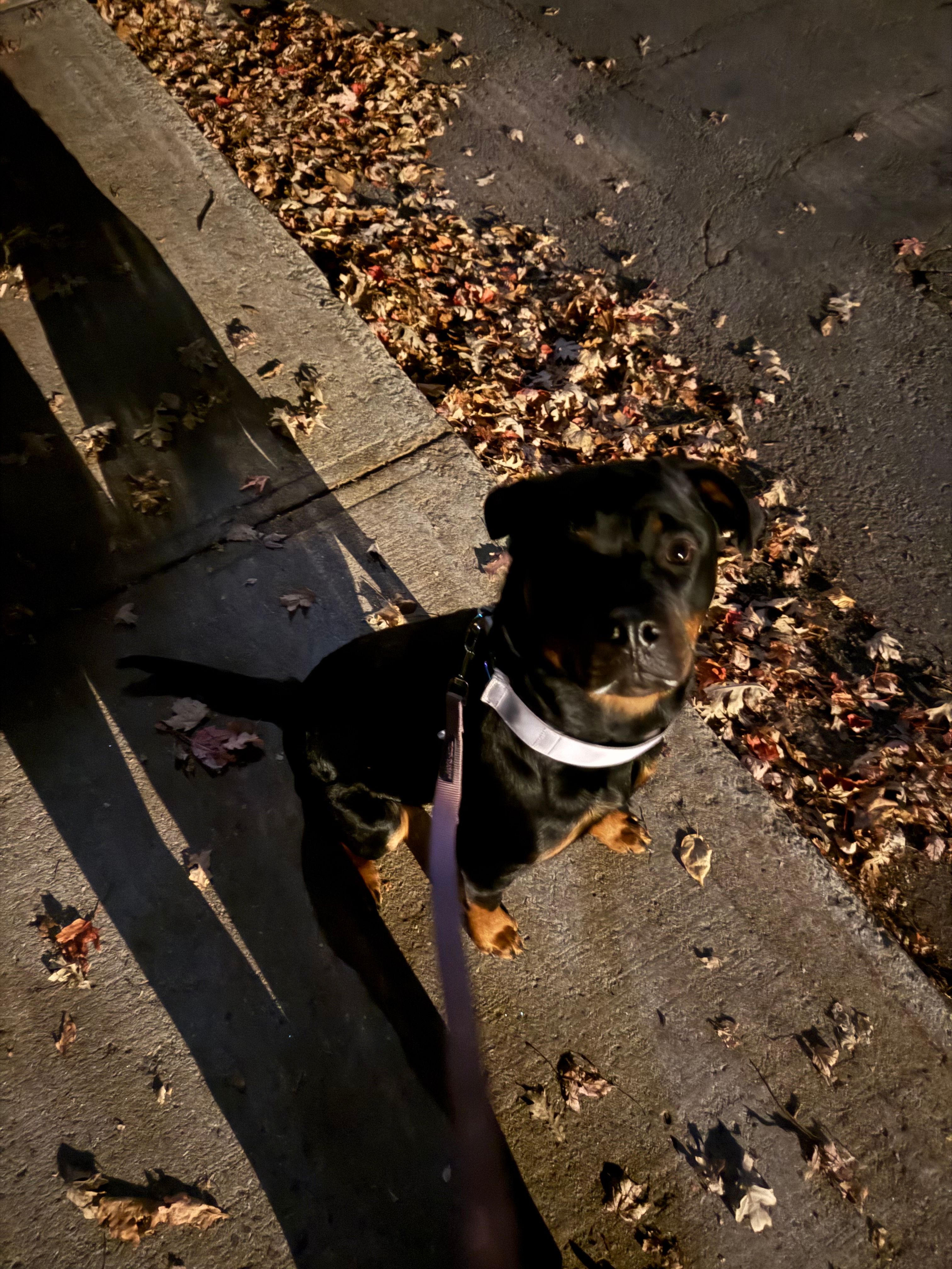 image-6