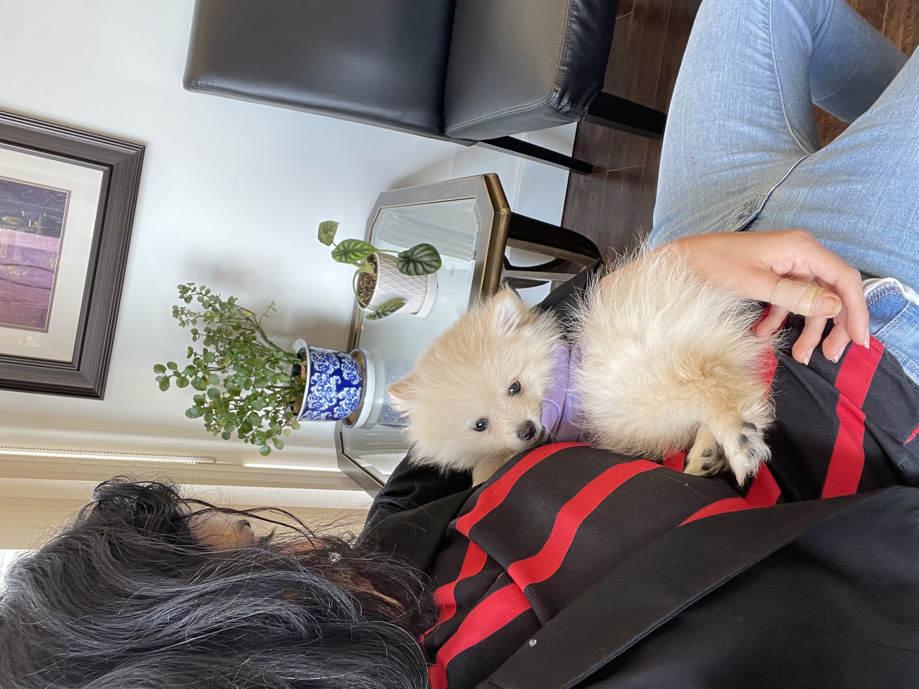 image-8