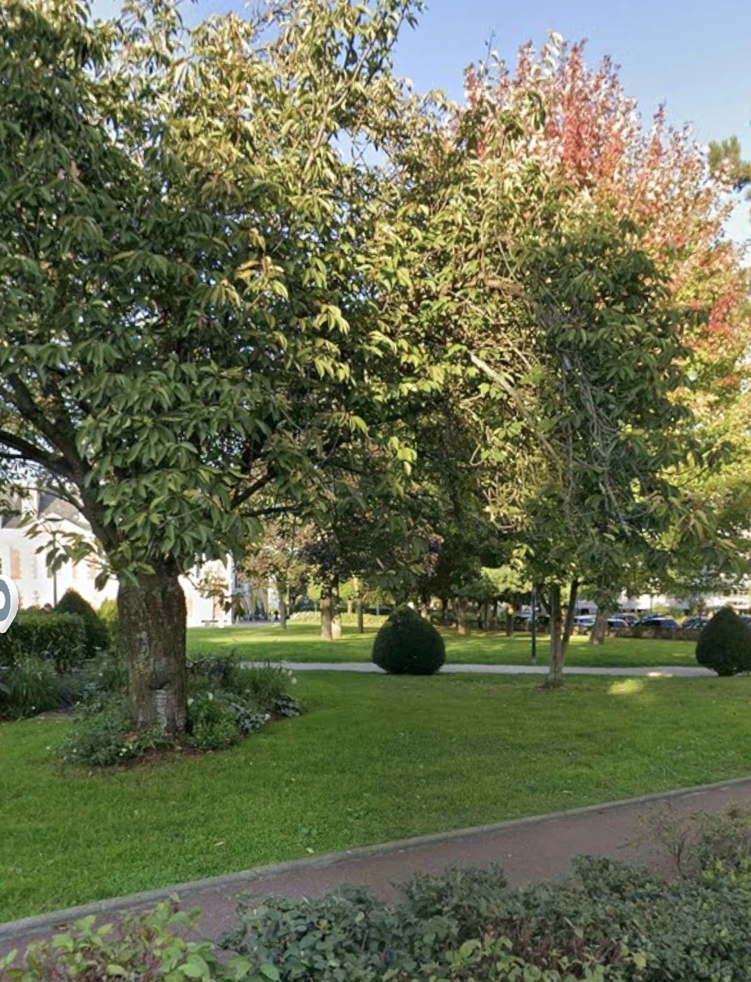 image-14