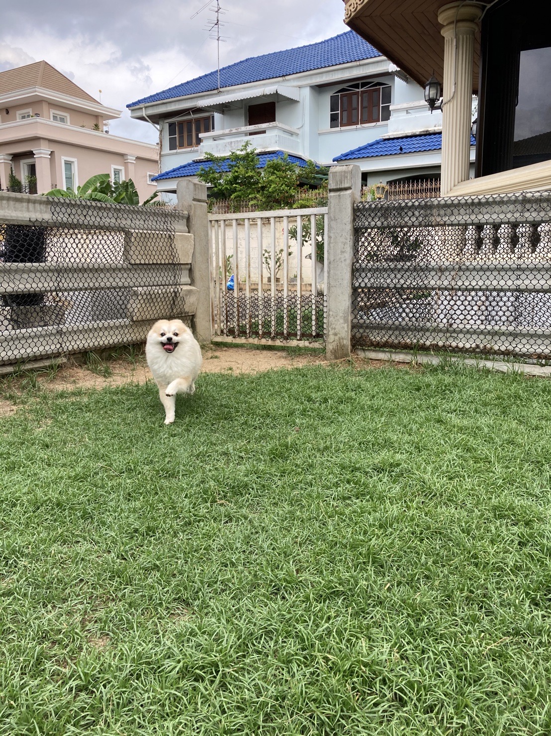 image-14