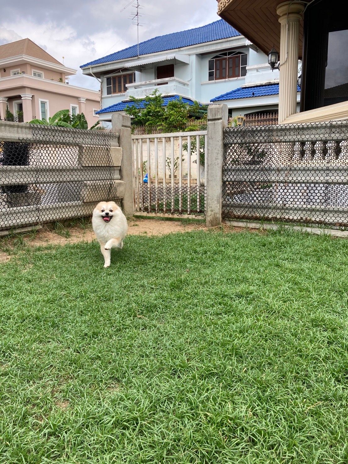 image-14