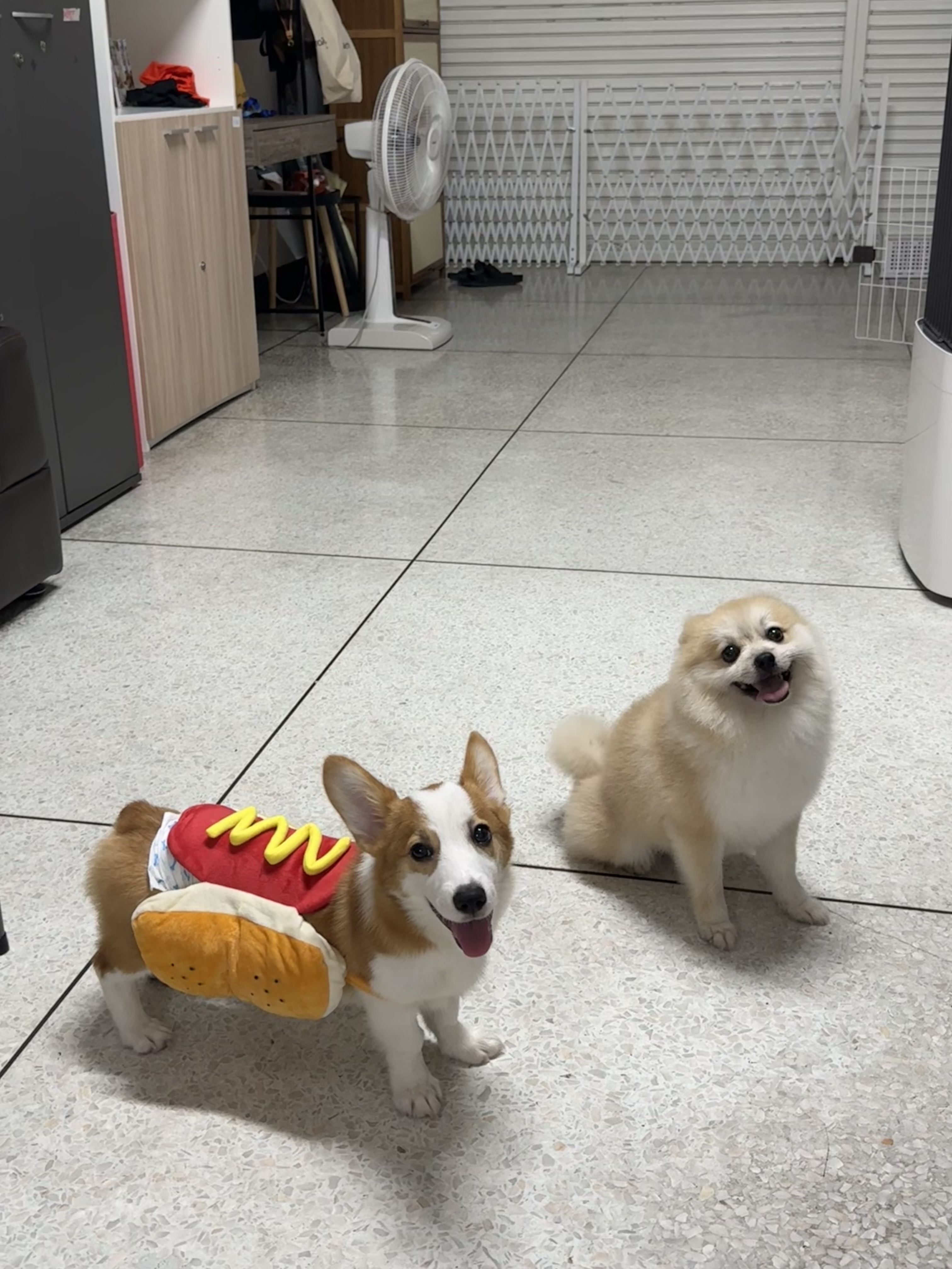 image-7