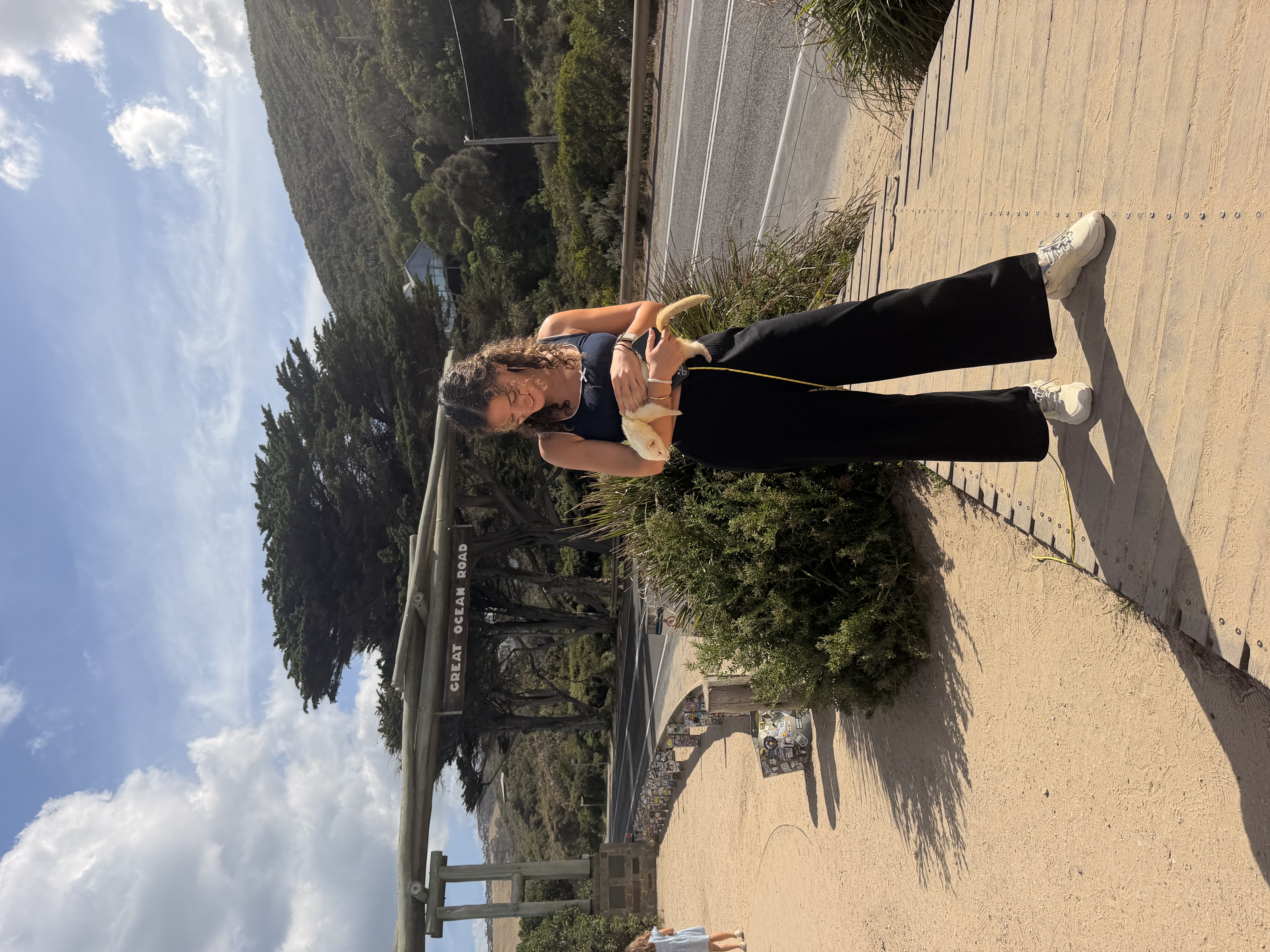 image-6