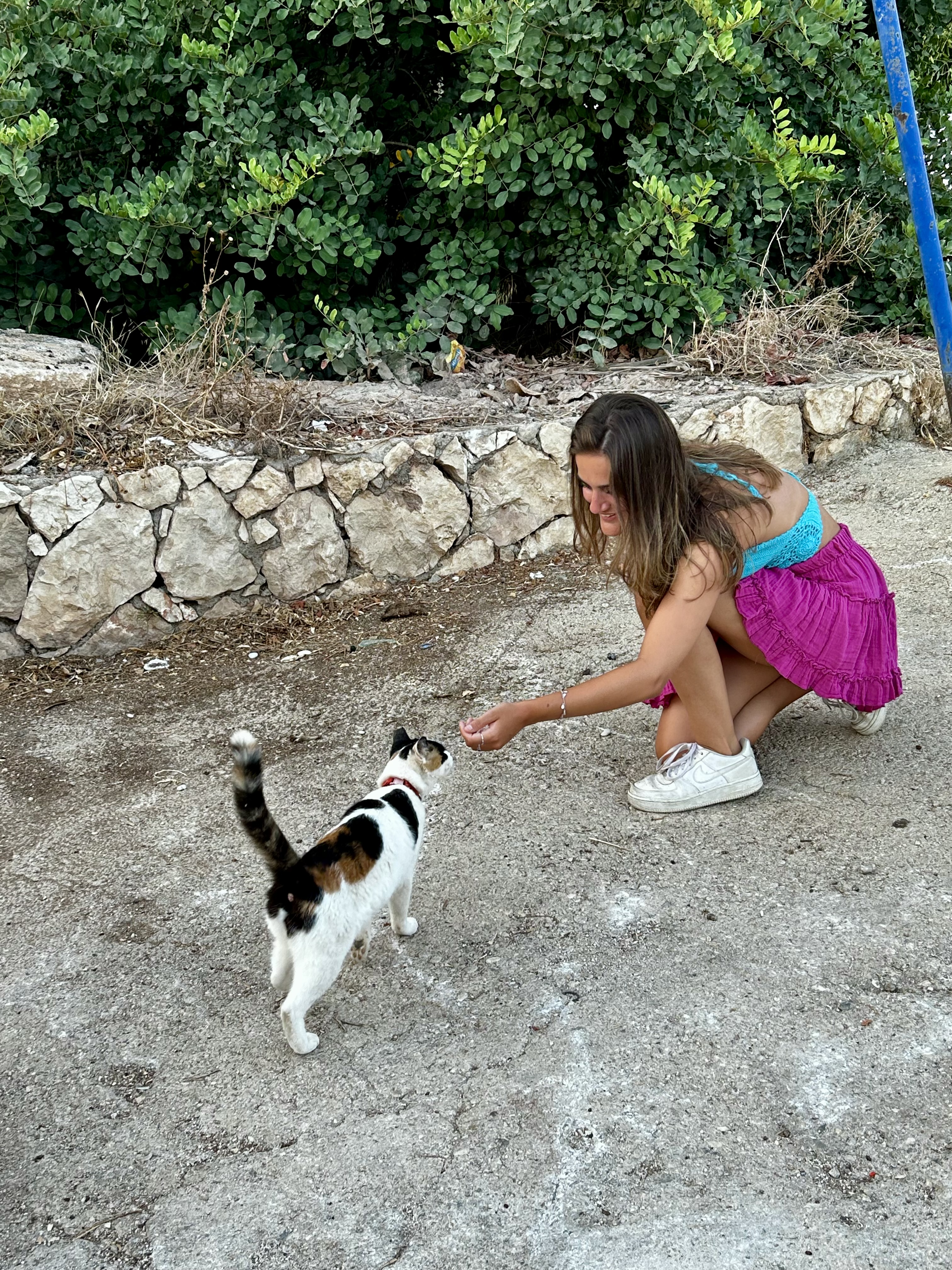 image-13