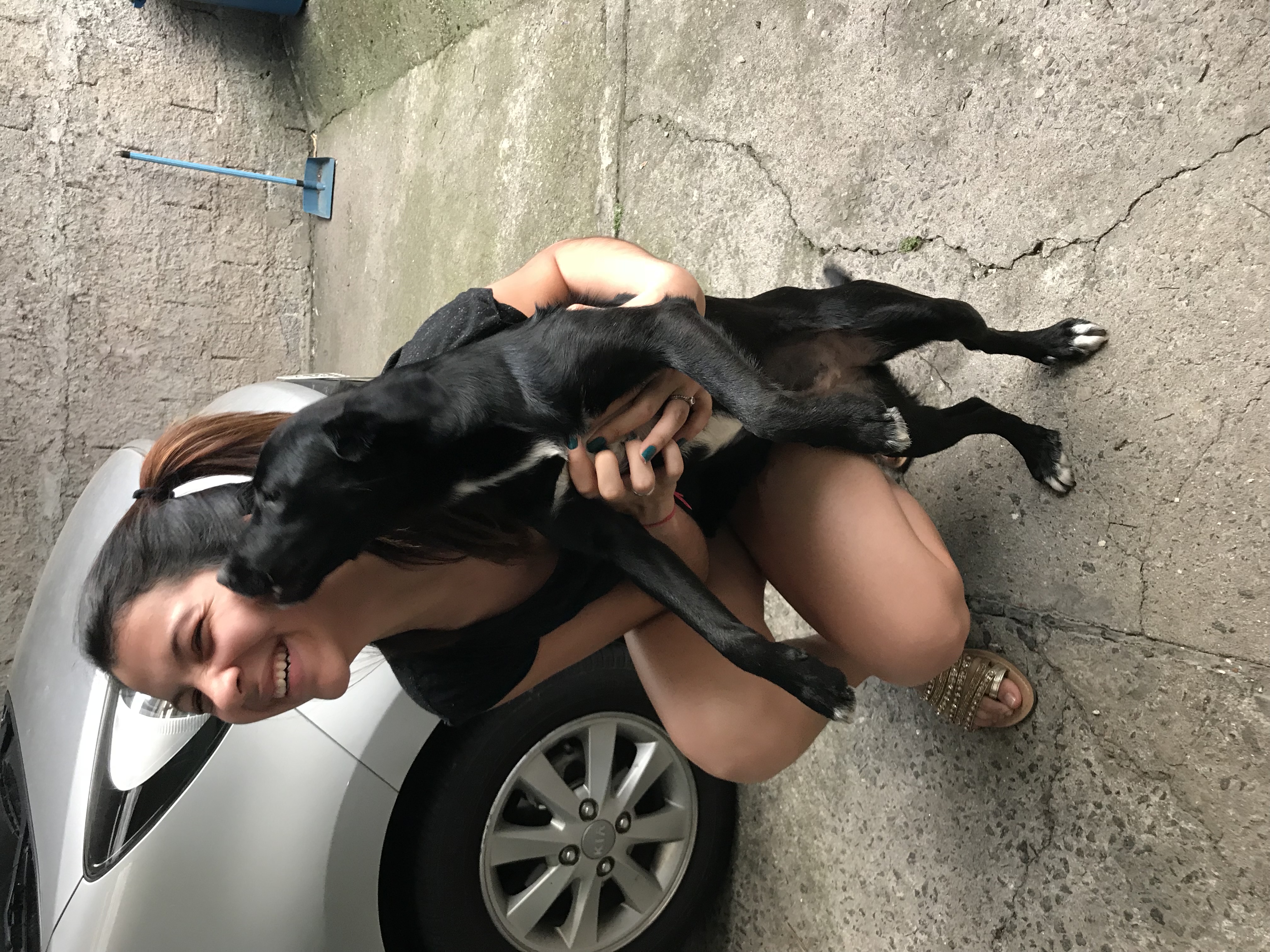 image-6