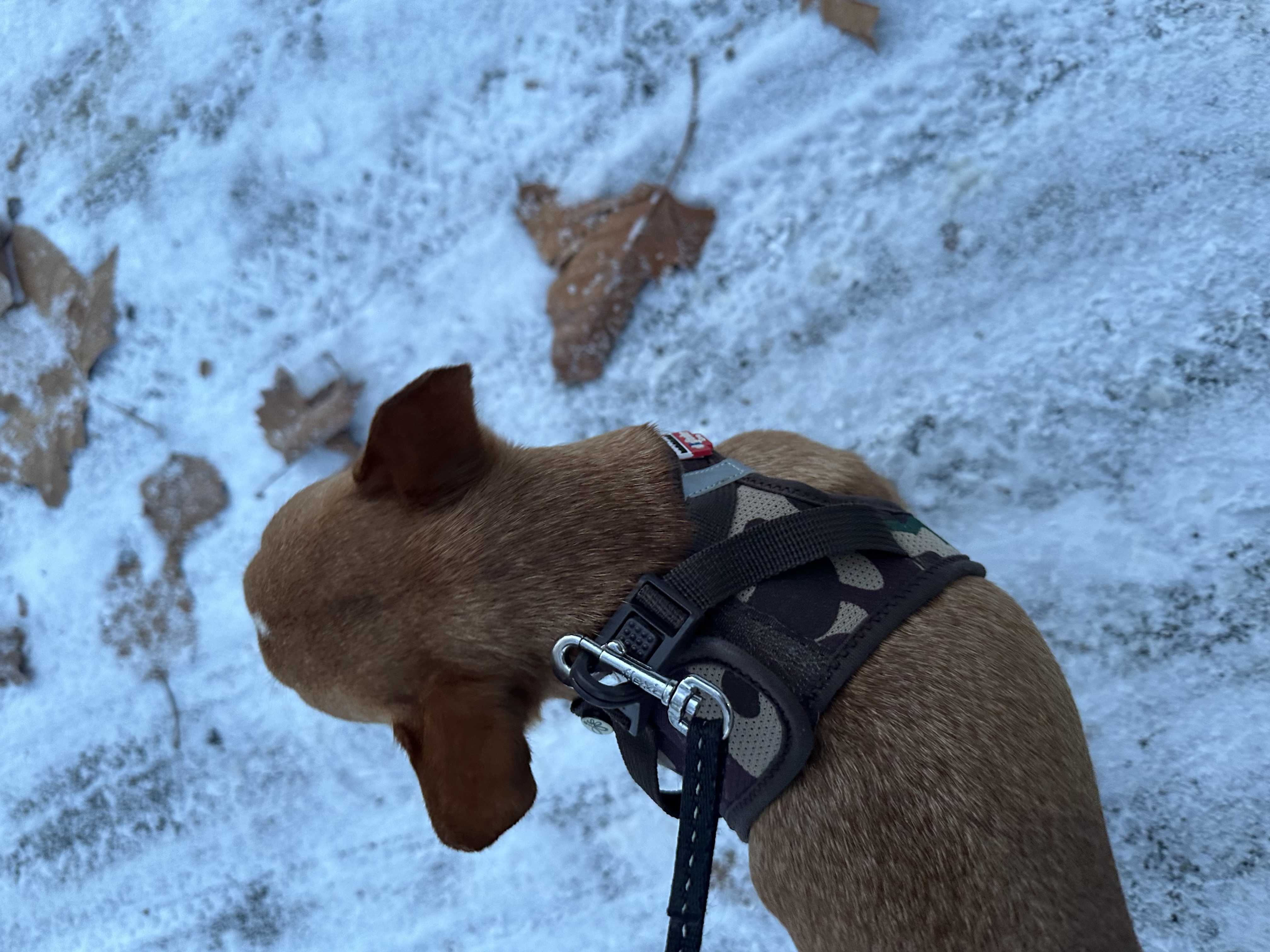 image-8