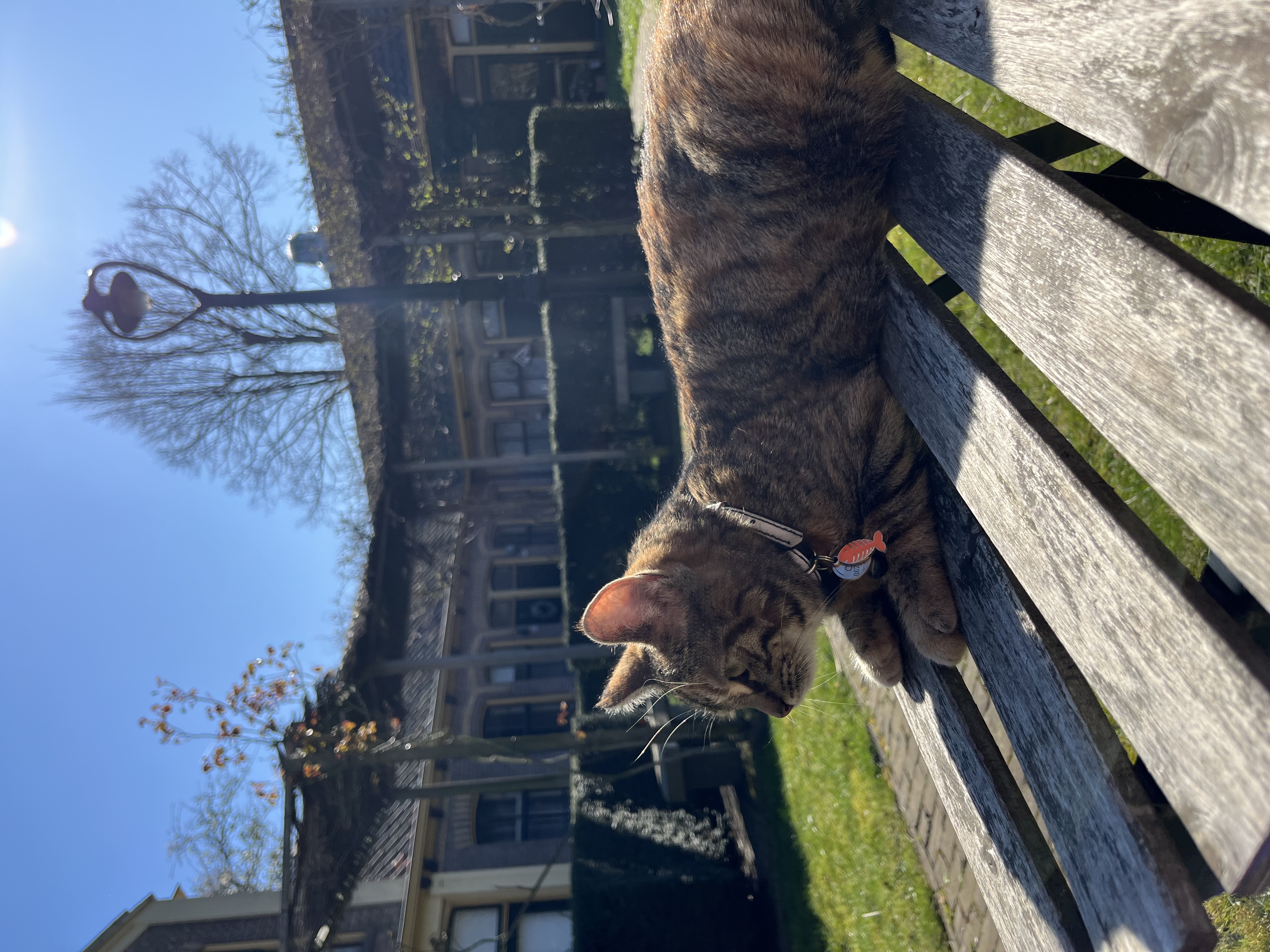 image-6