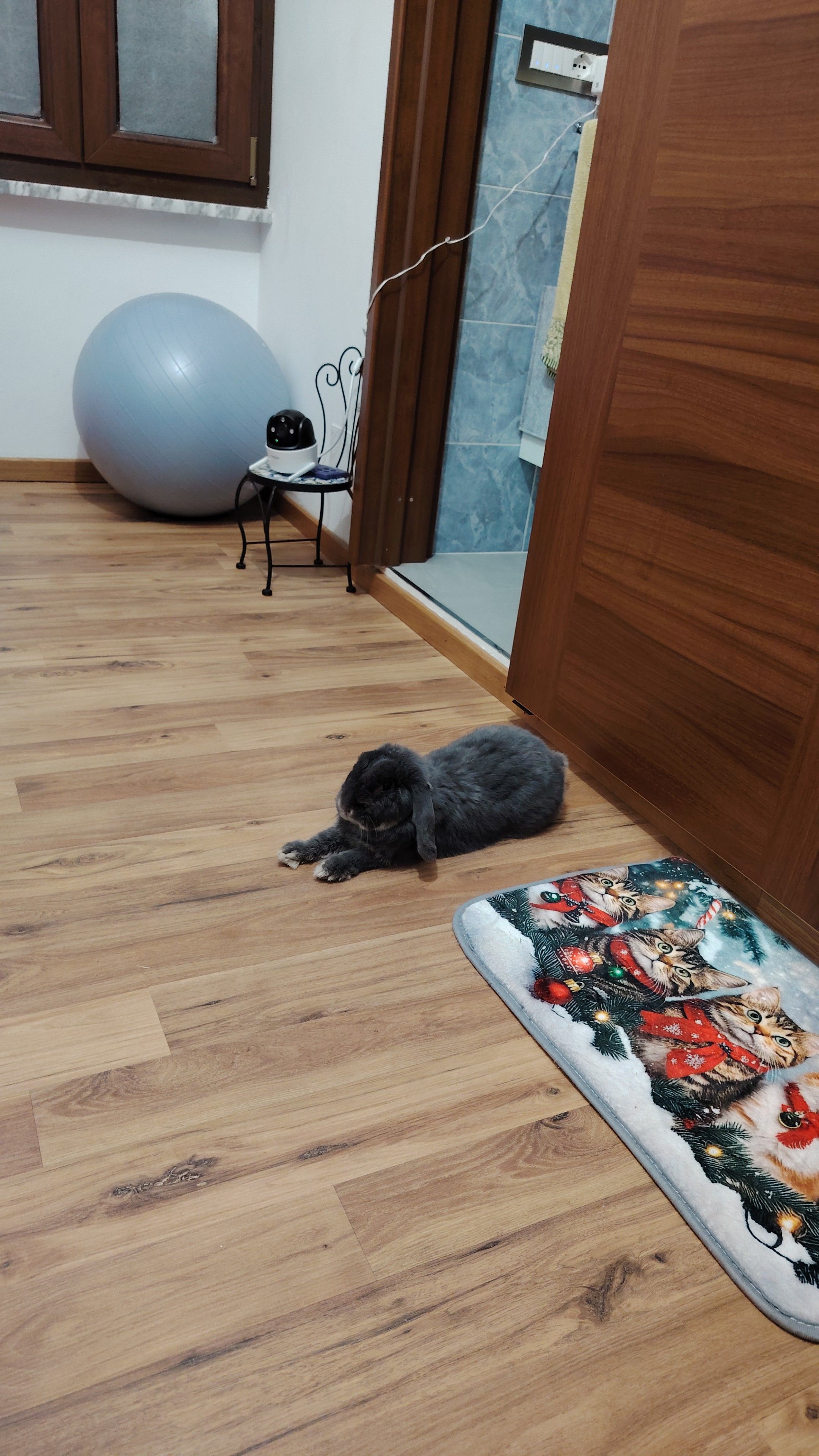 image-11