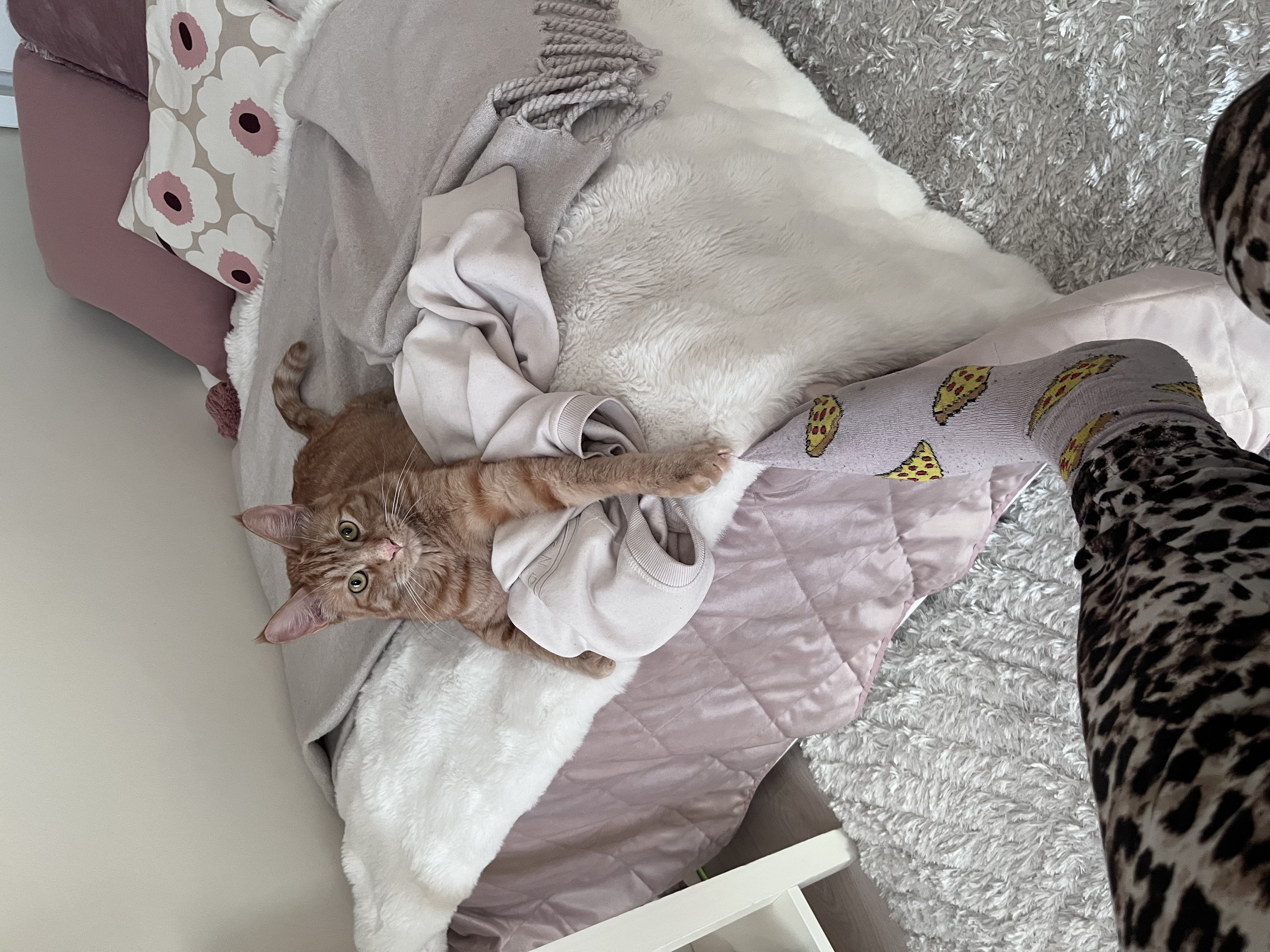 image-8