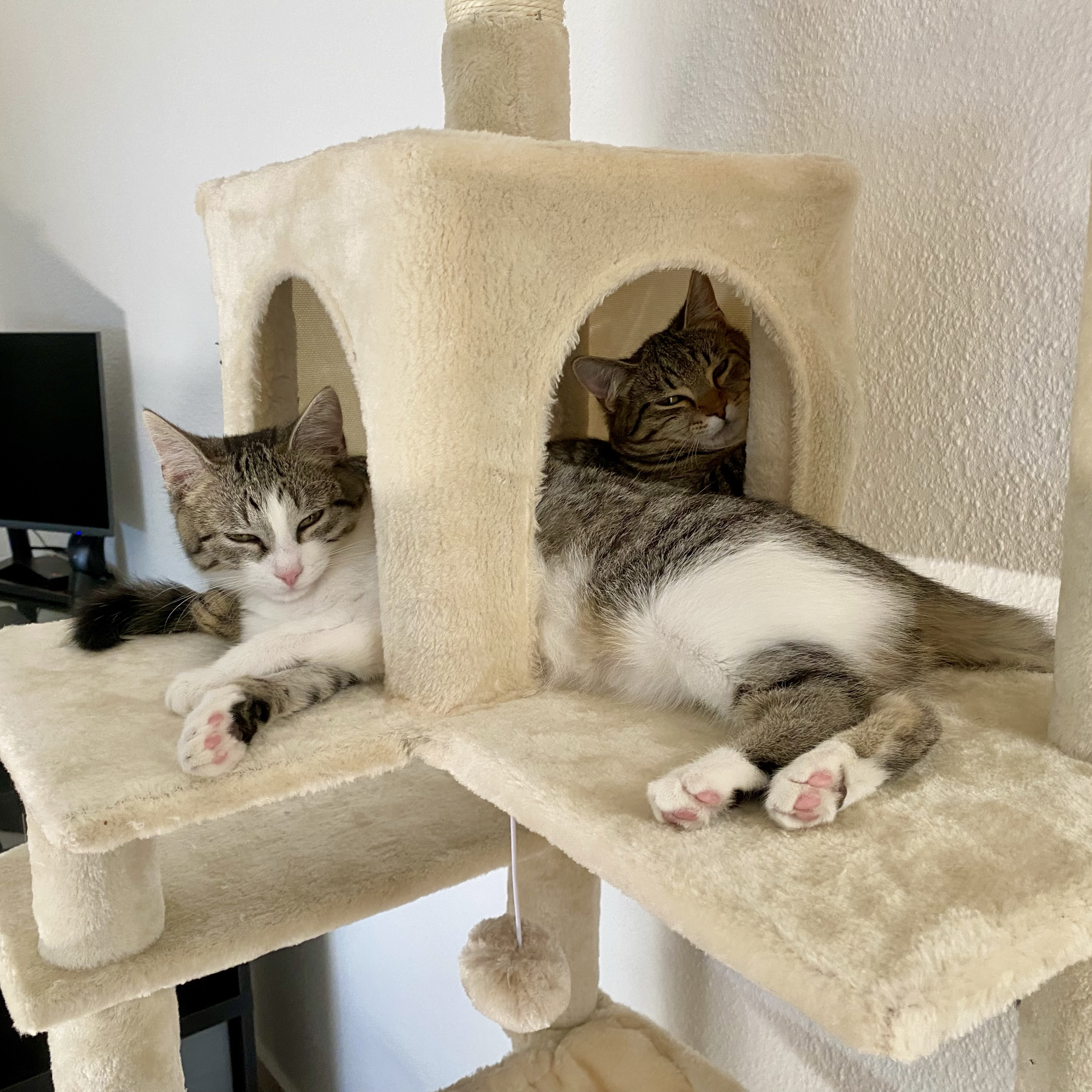 Kira und Nala