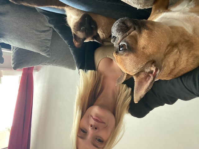 image-6