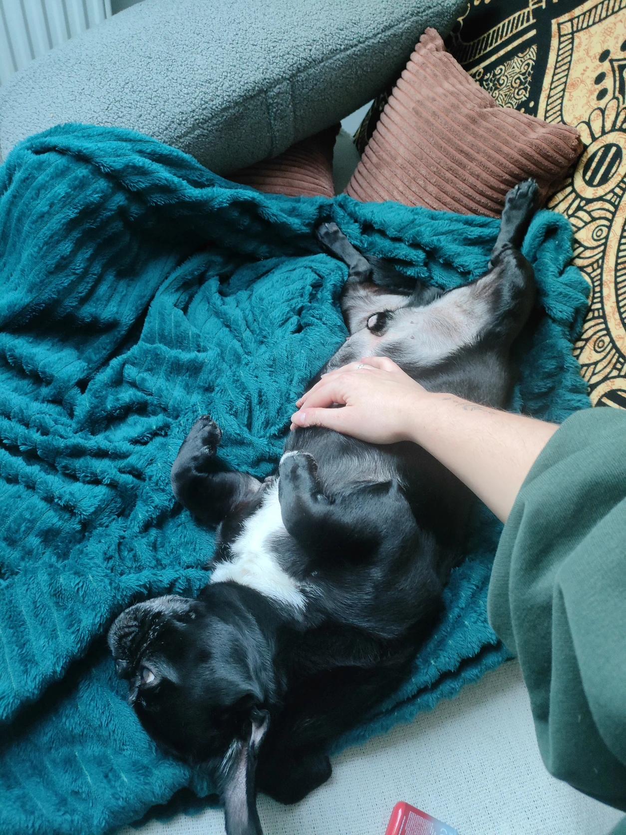image-7