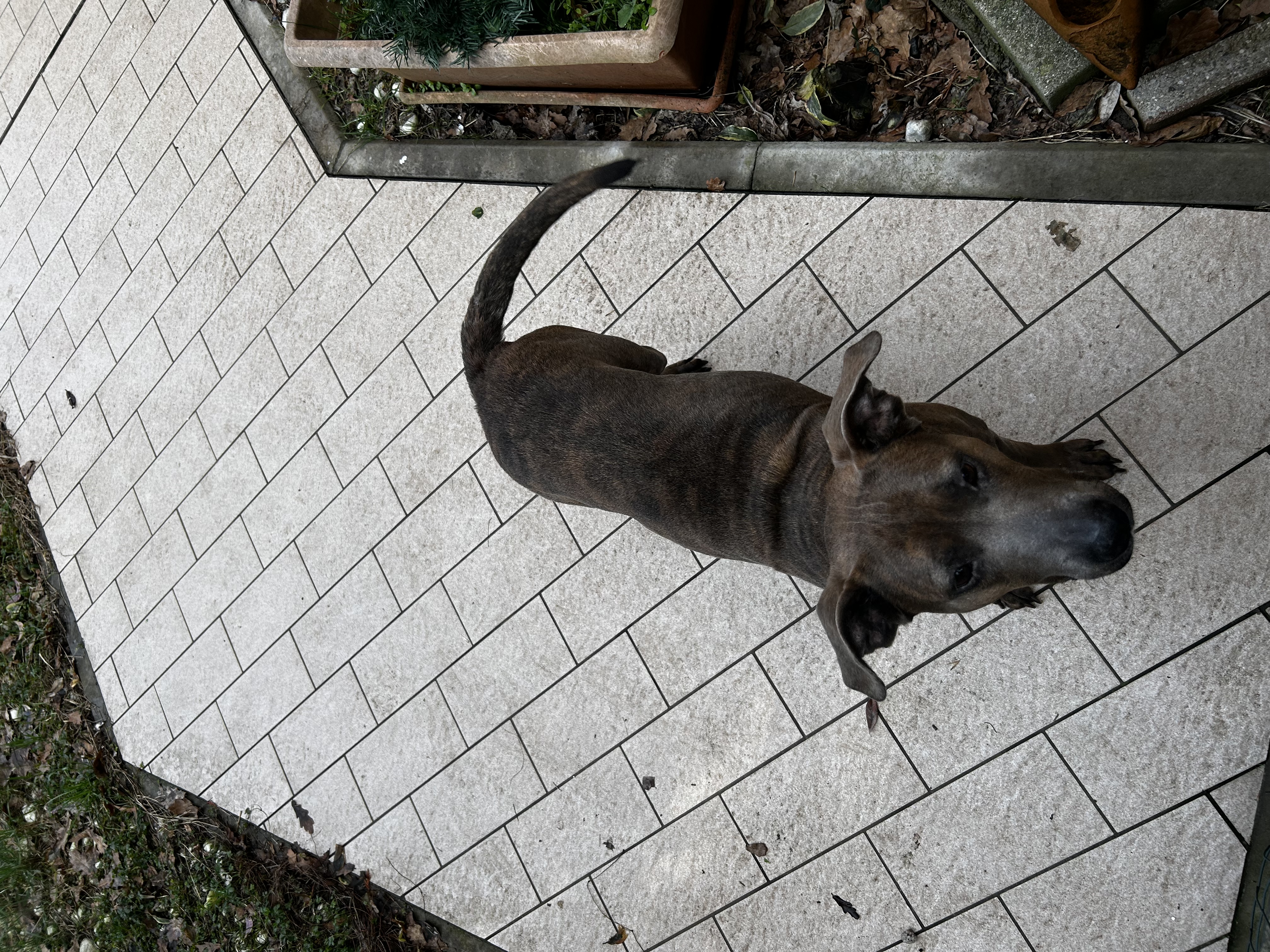 image-16