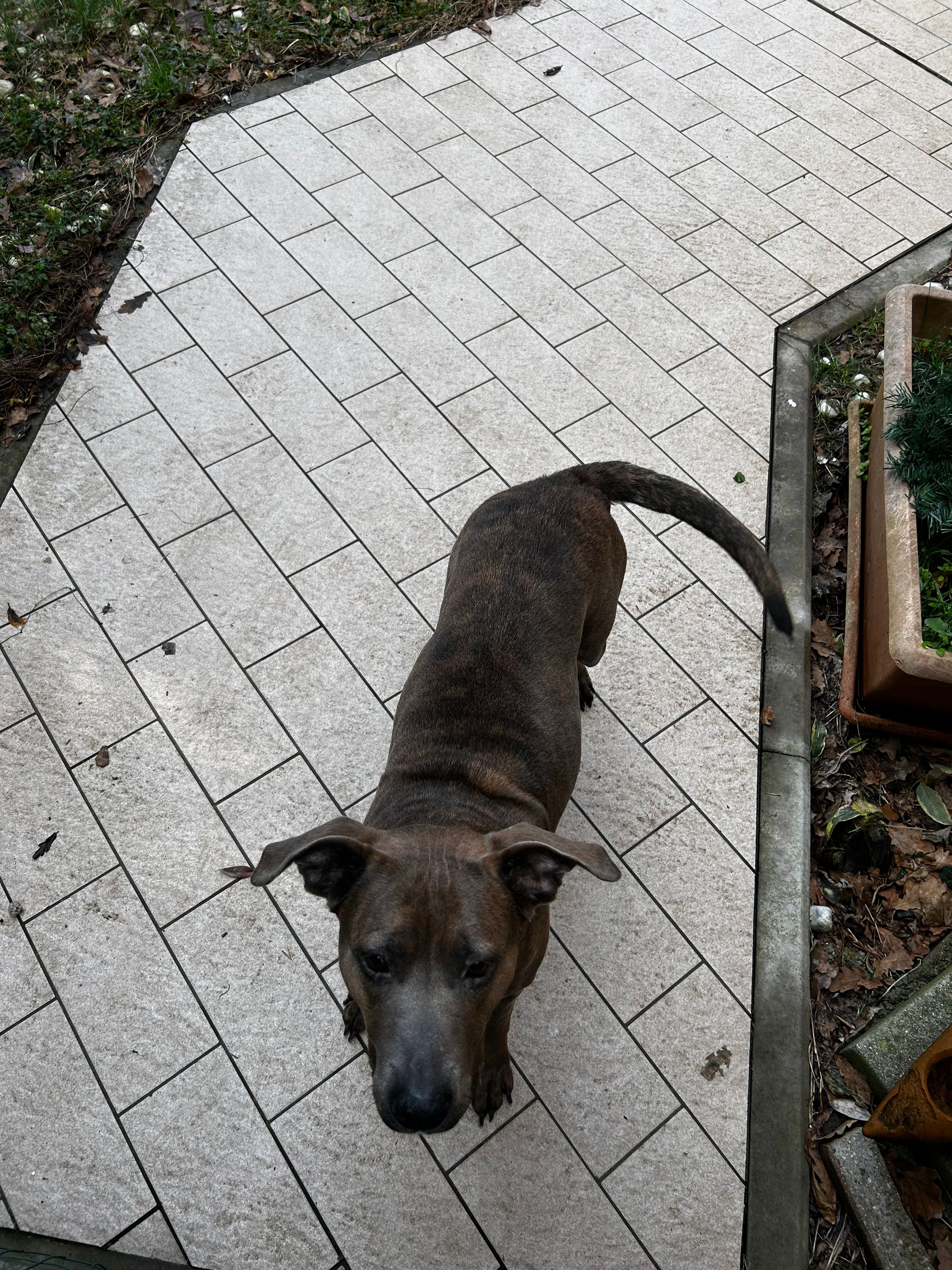 image-16