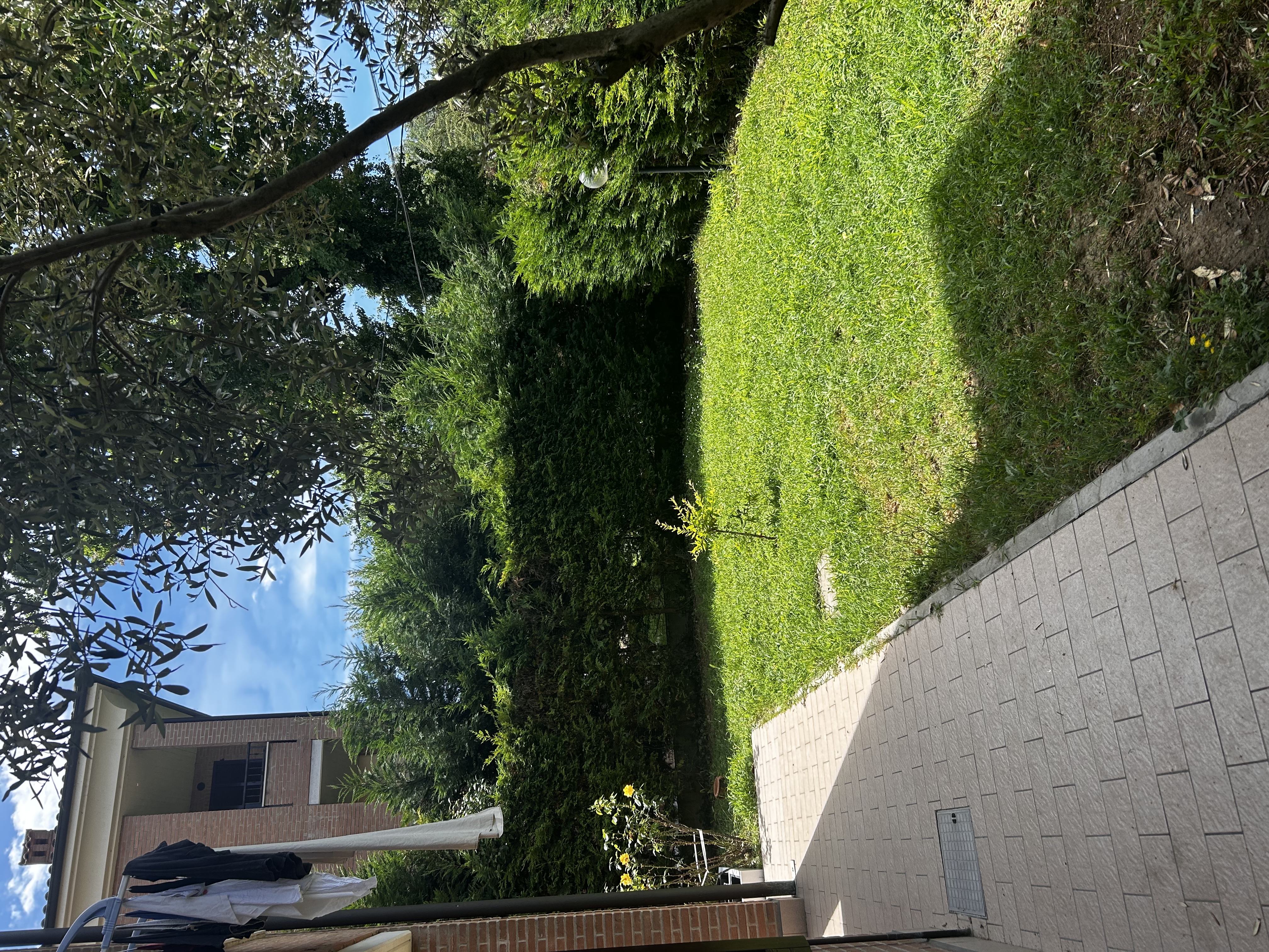 image-20