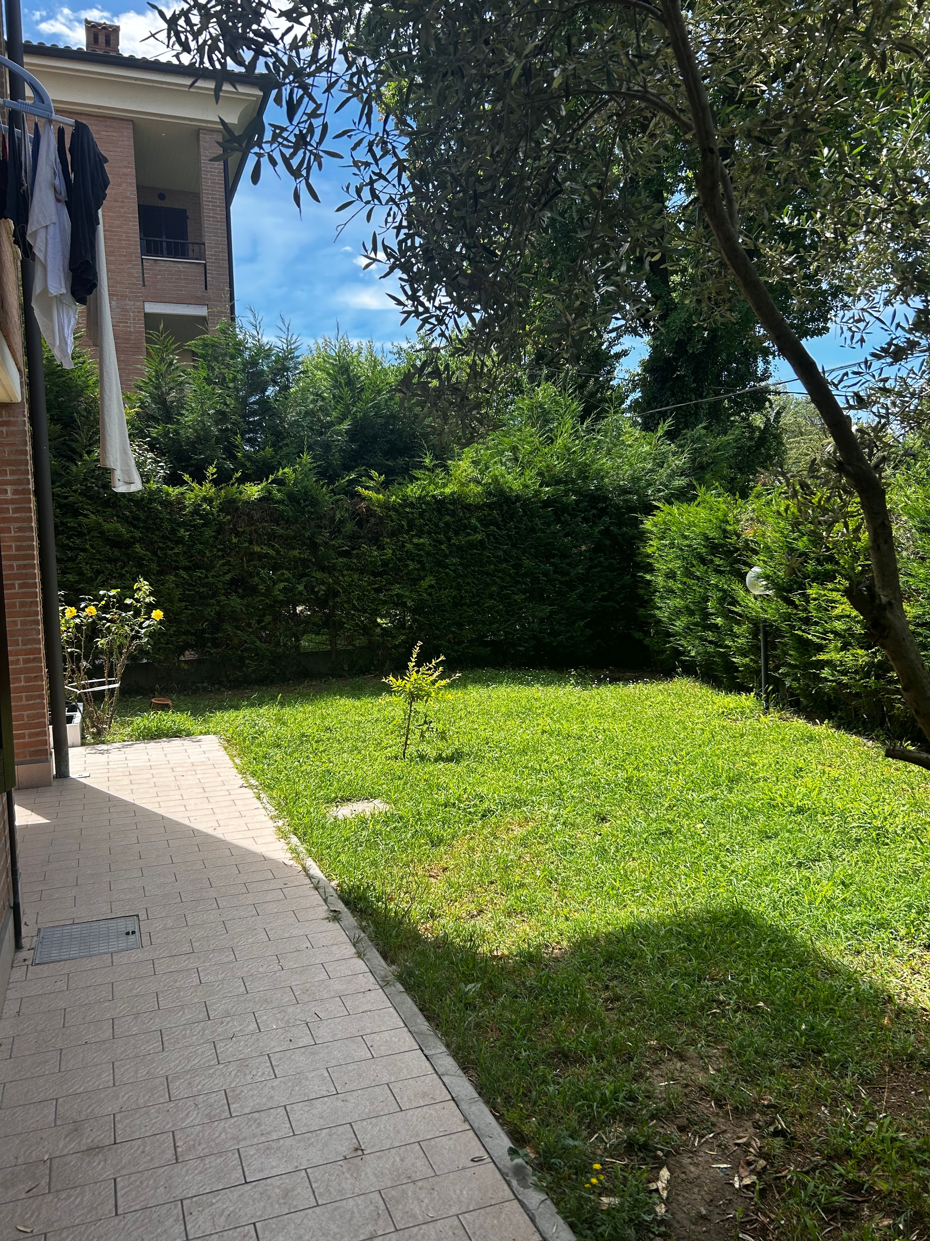 image-20