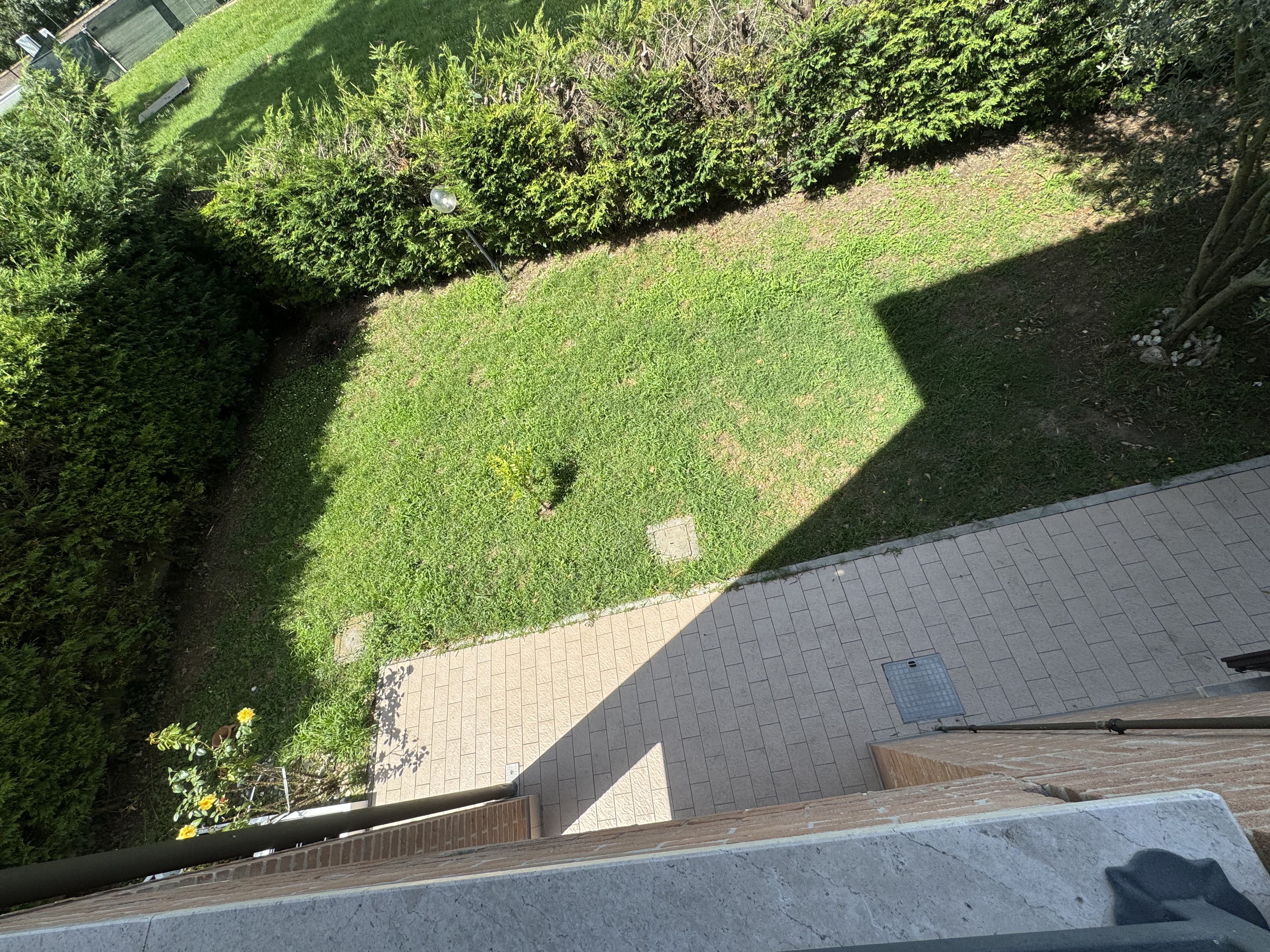 image-19