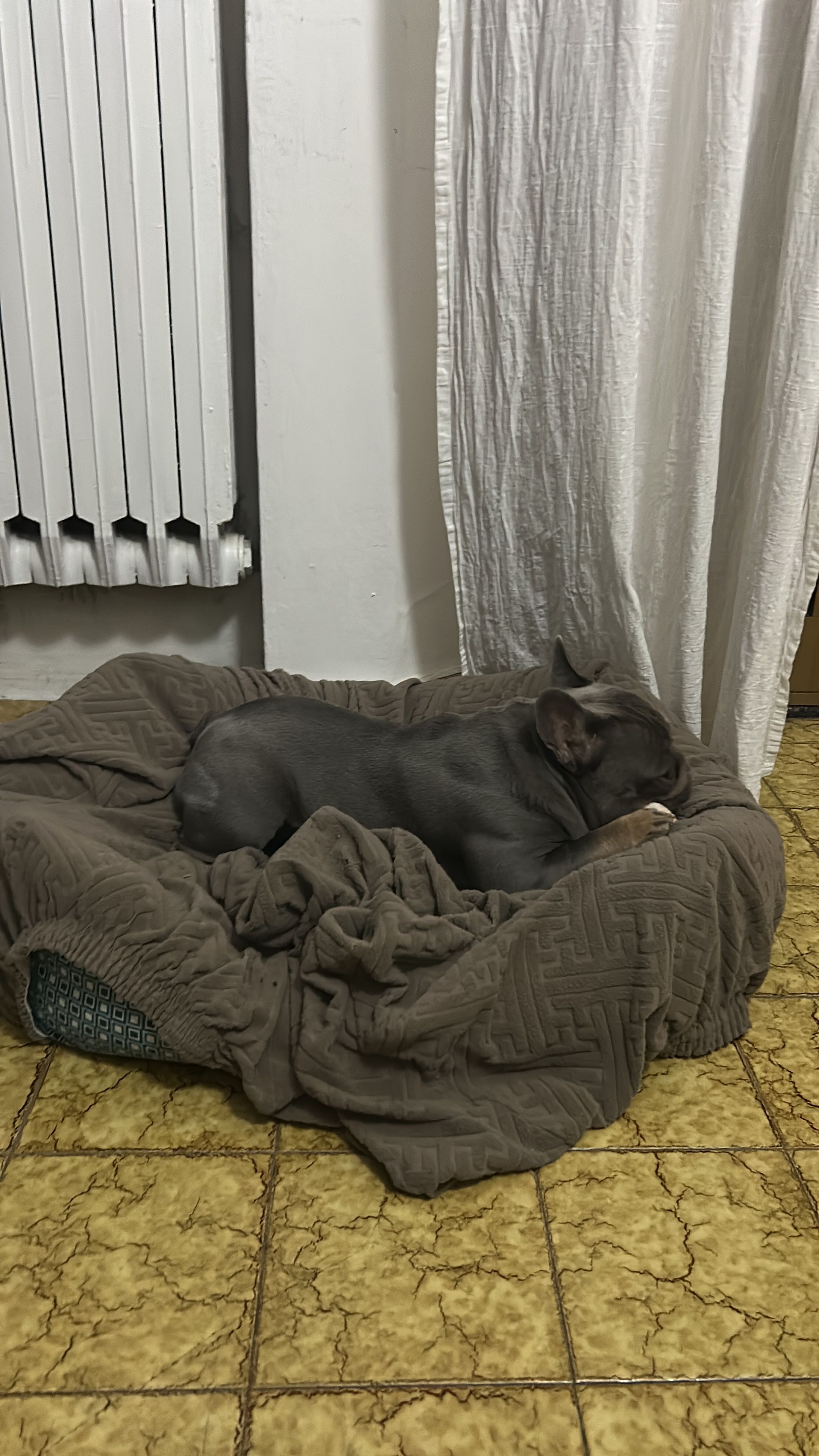 image-14