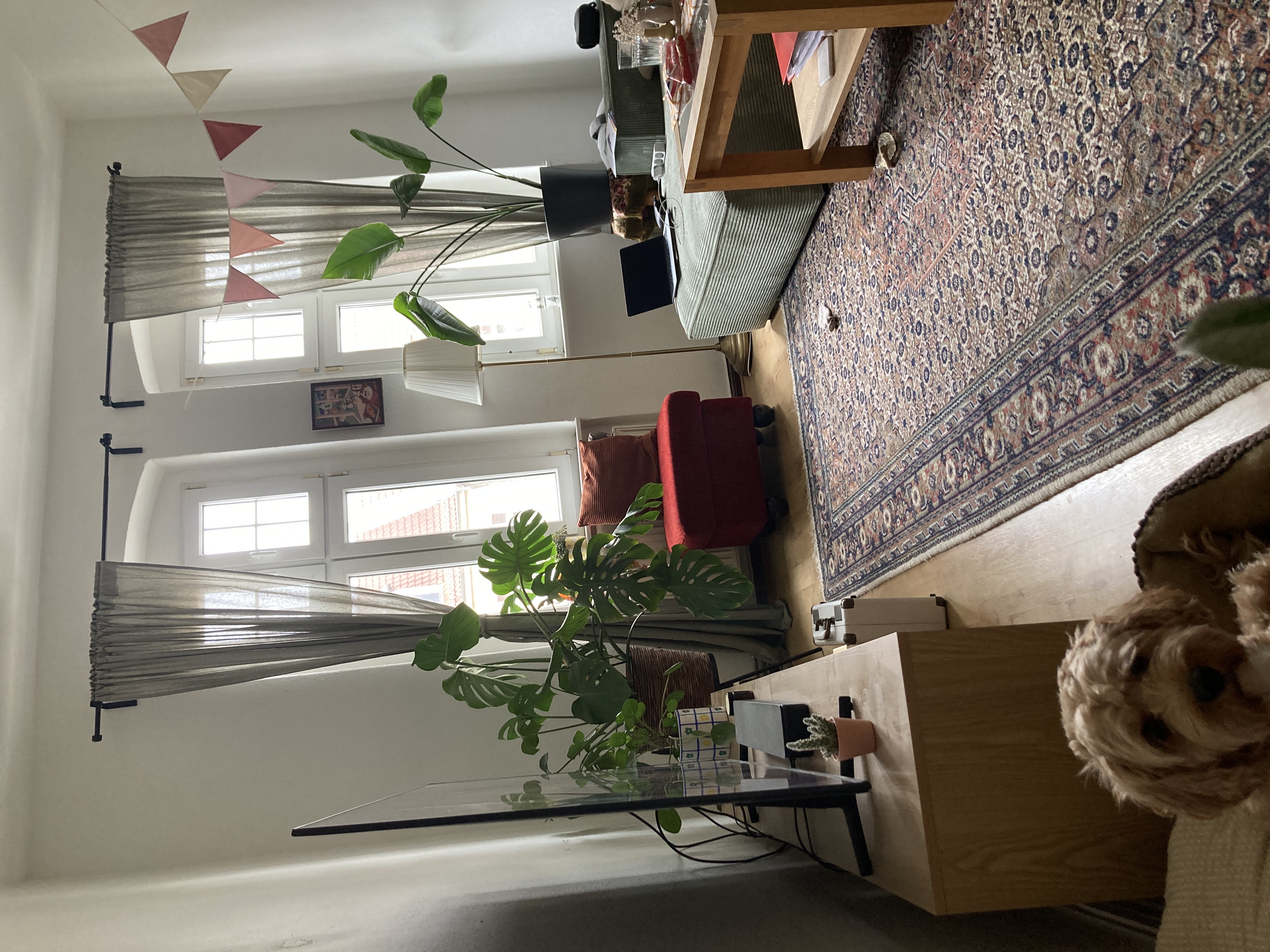 image-18