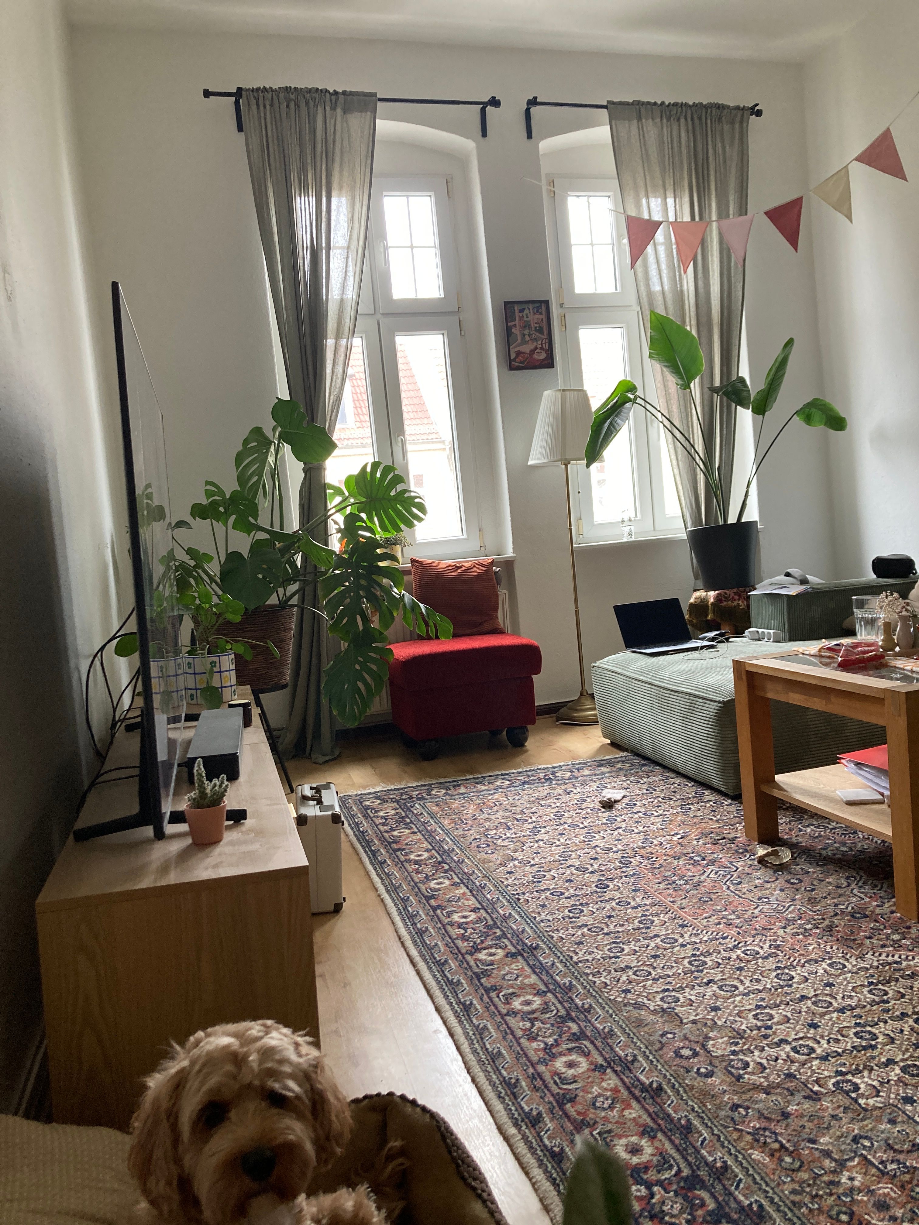 image-18