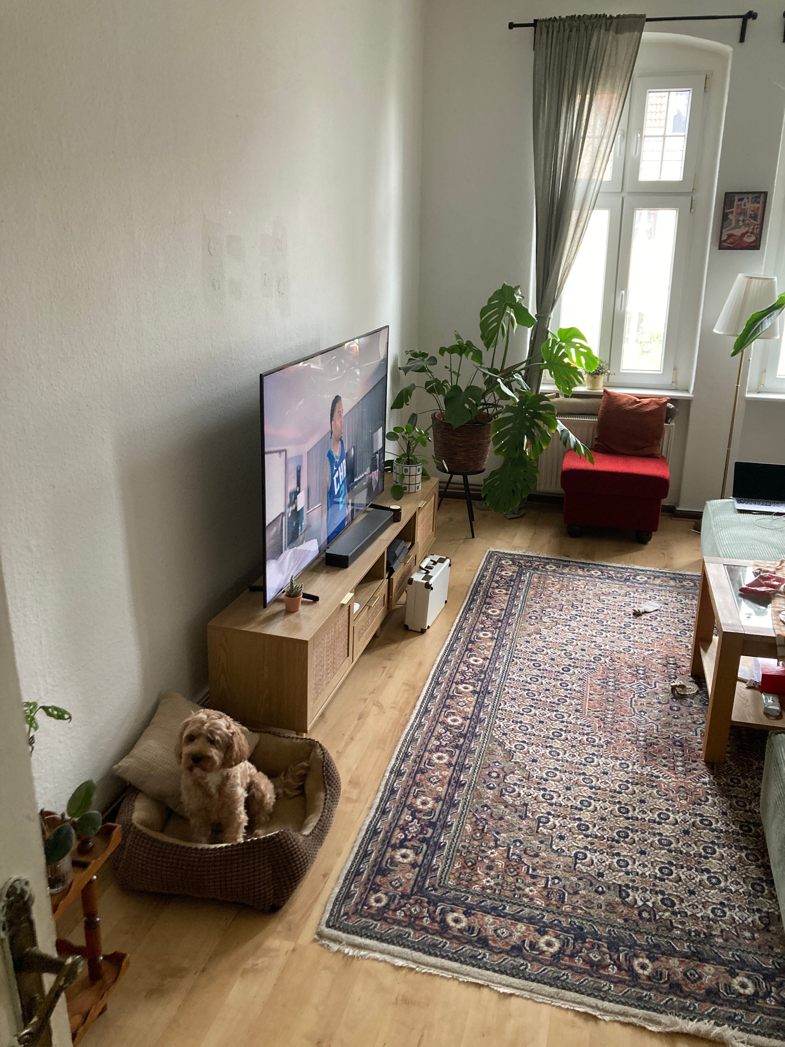 image-13