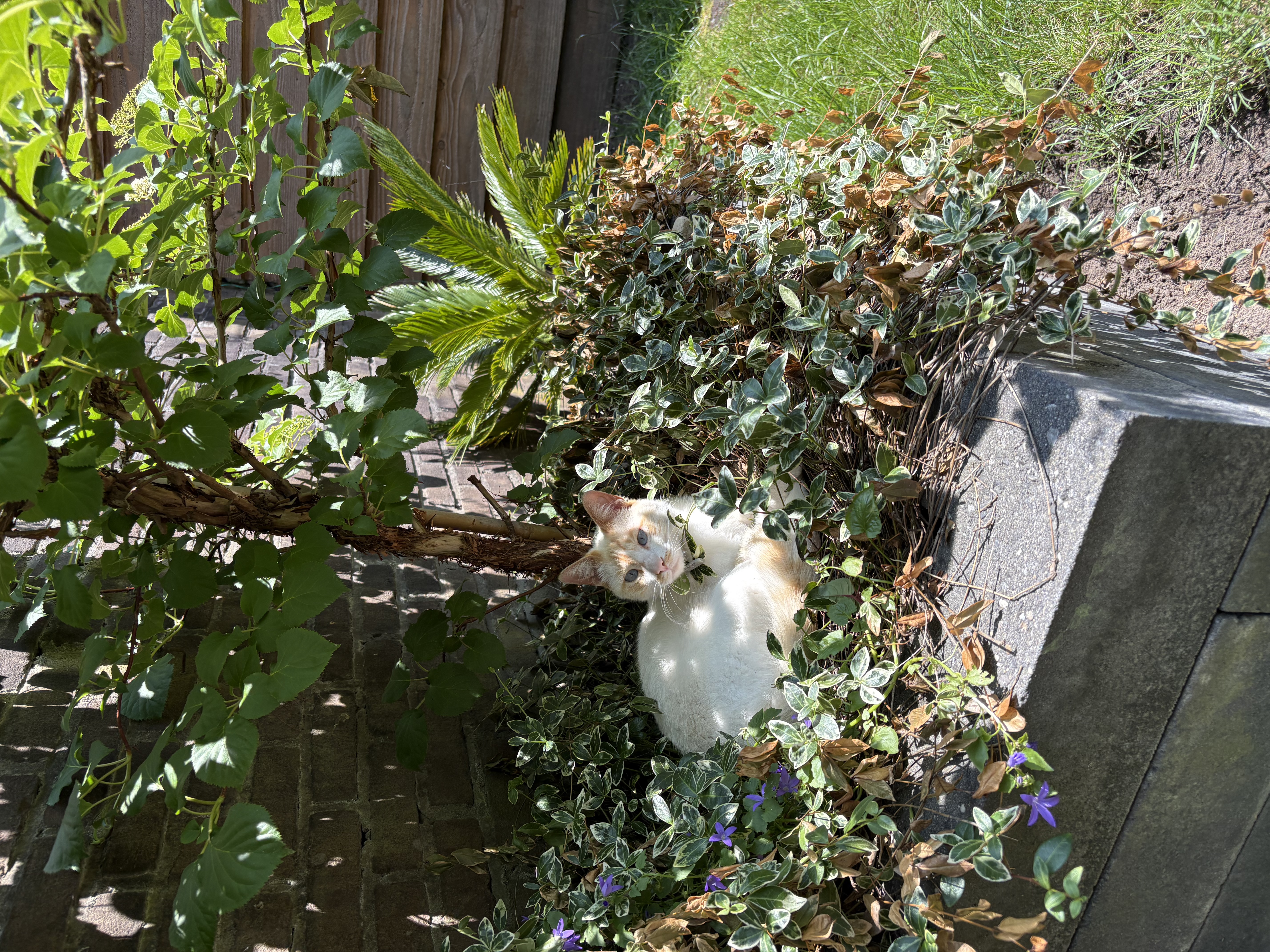 image-6