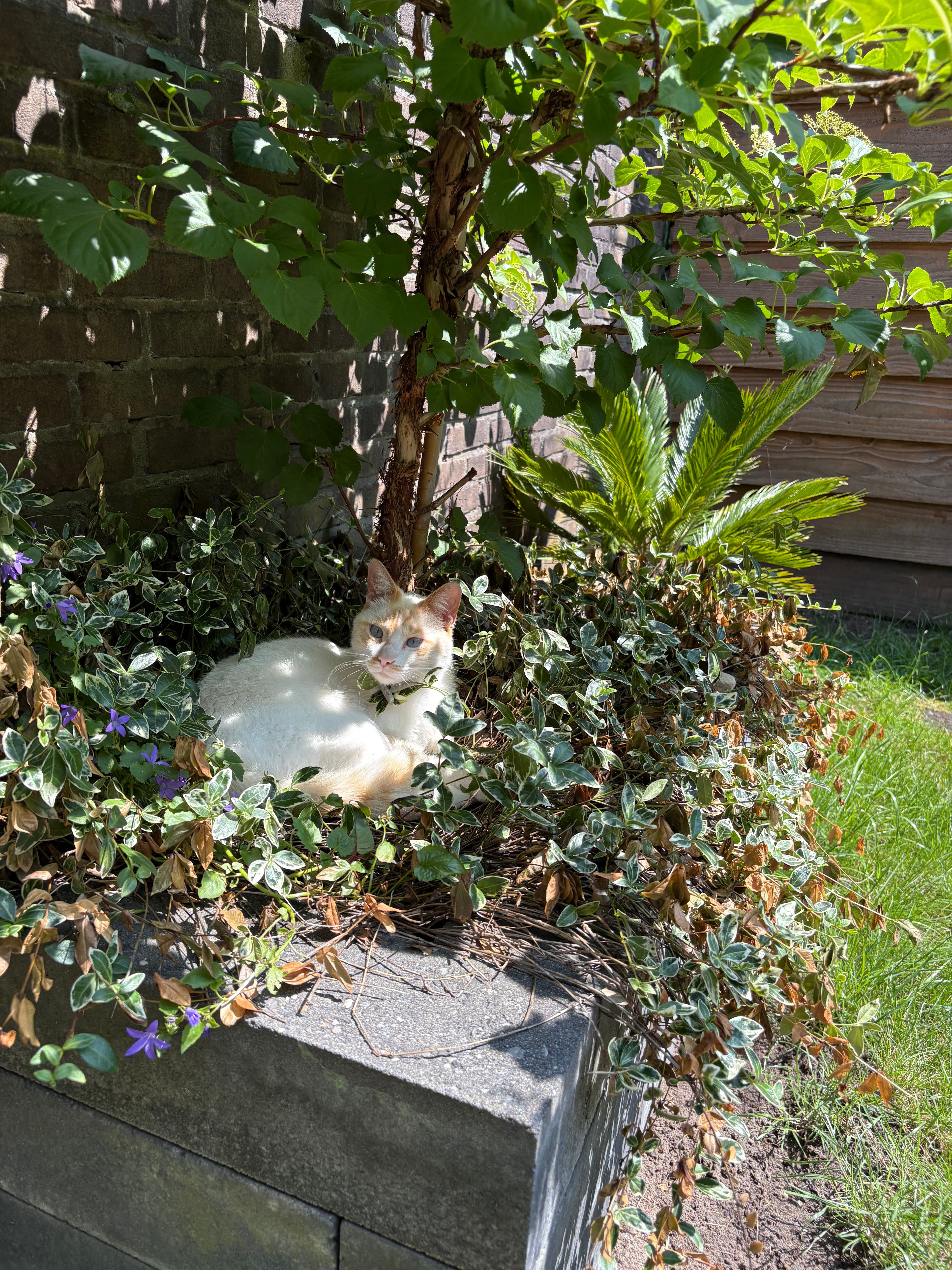 image-6