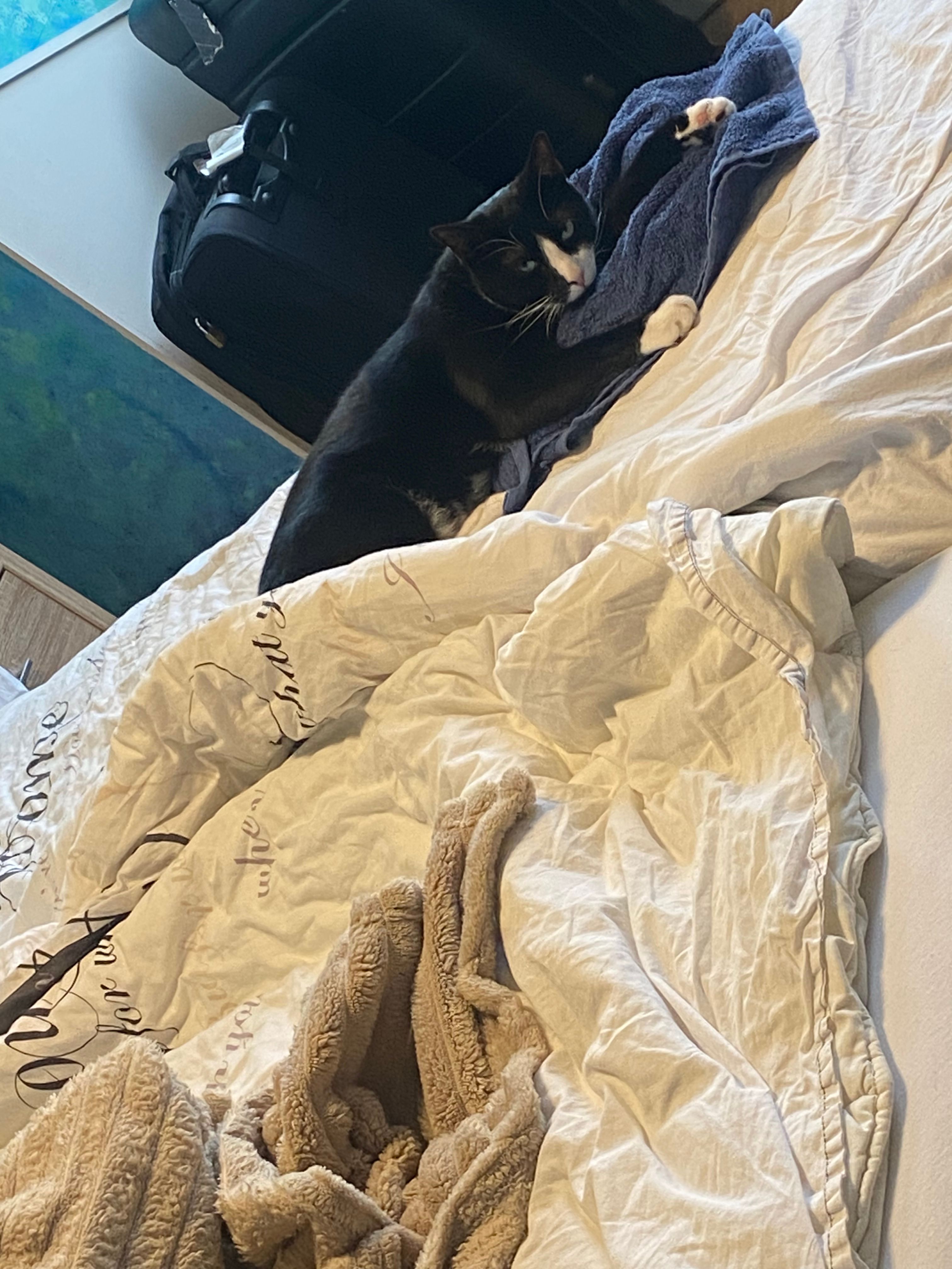 image-9