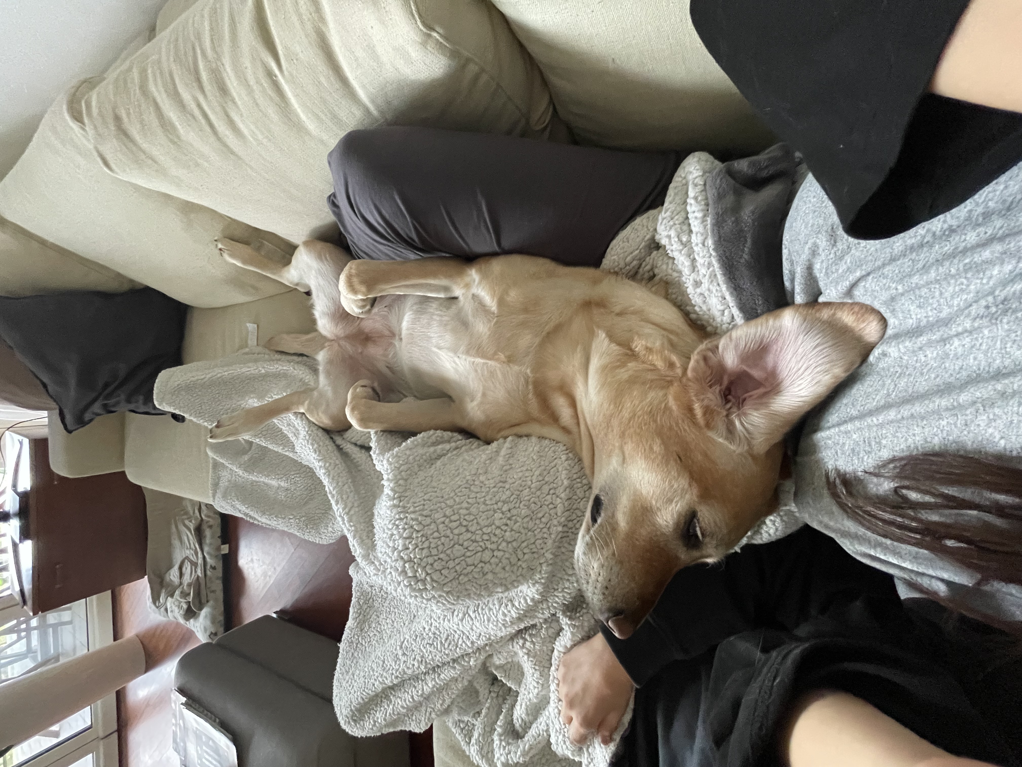 image-8