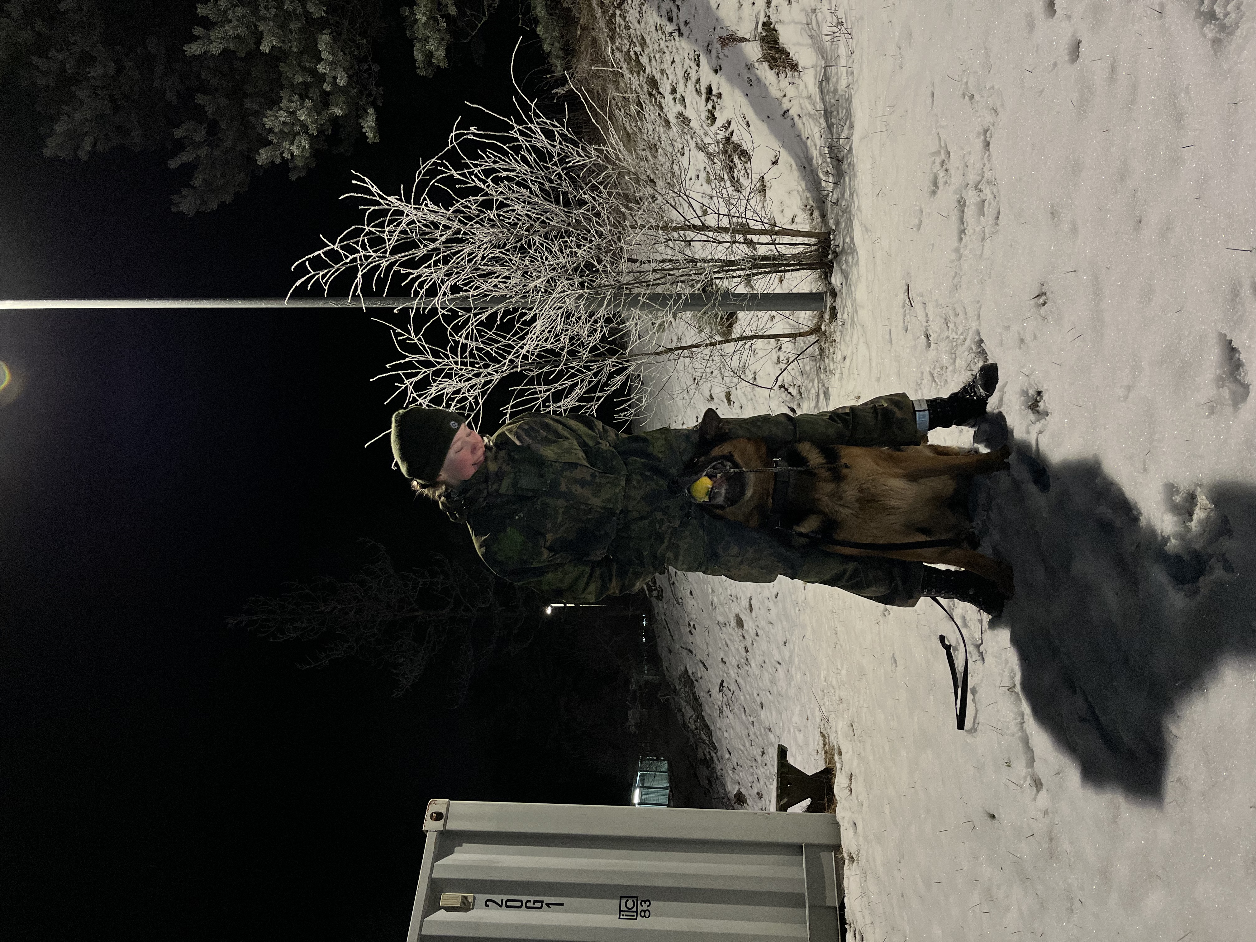 image-8