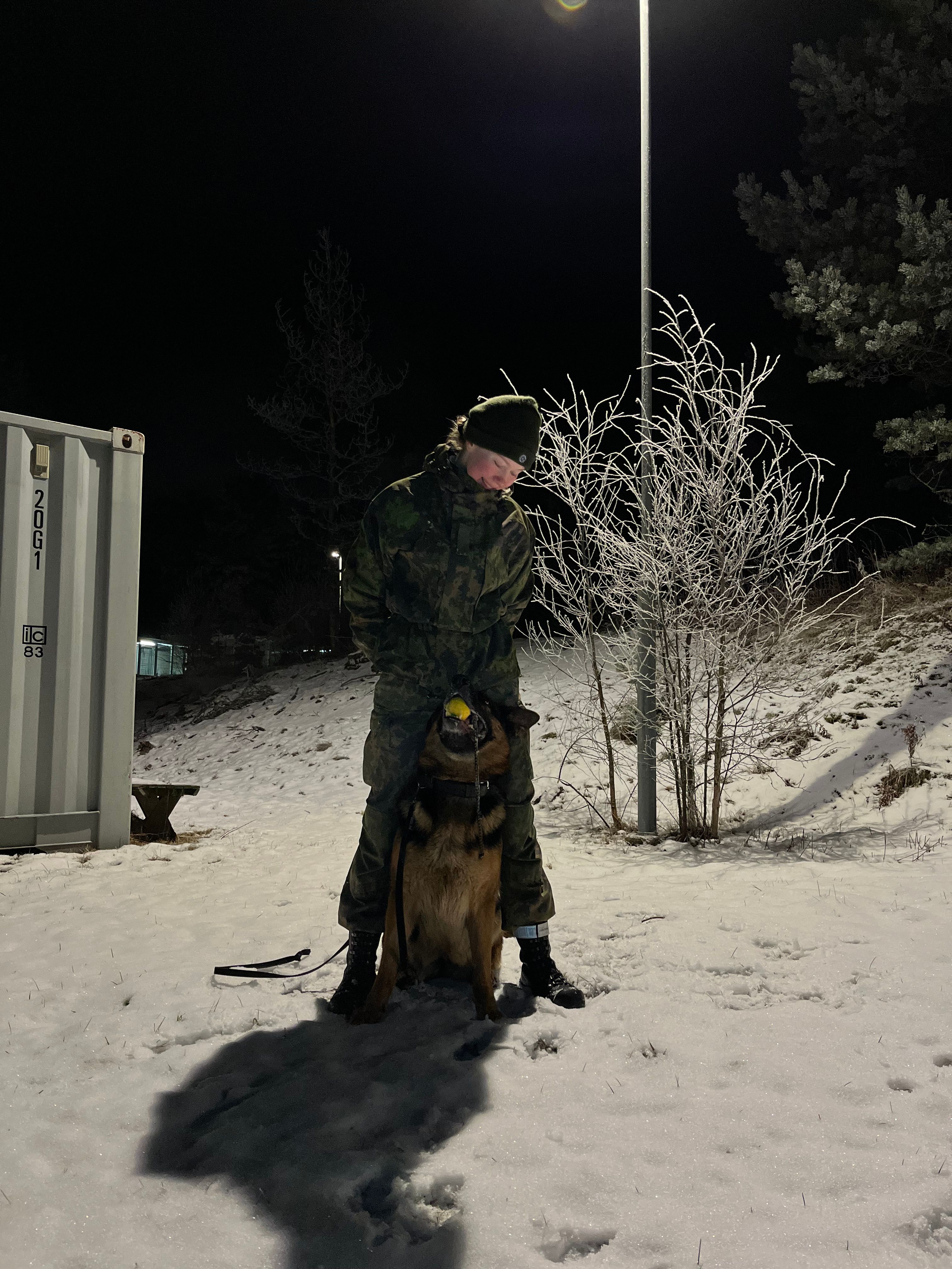 image-8