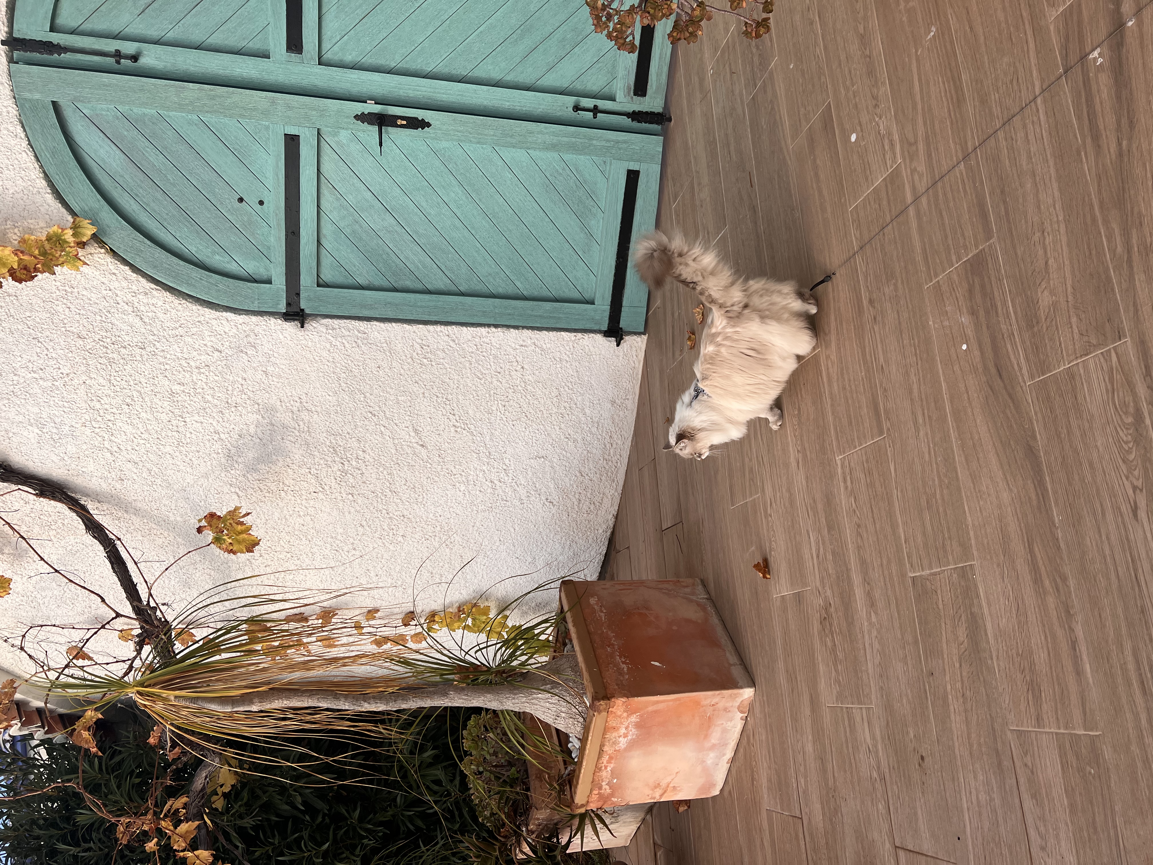 image-5