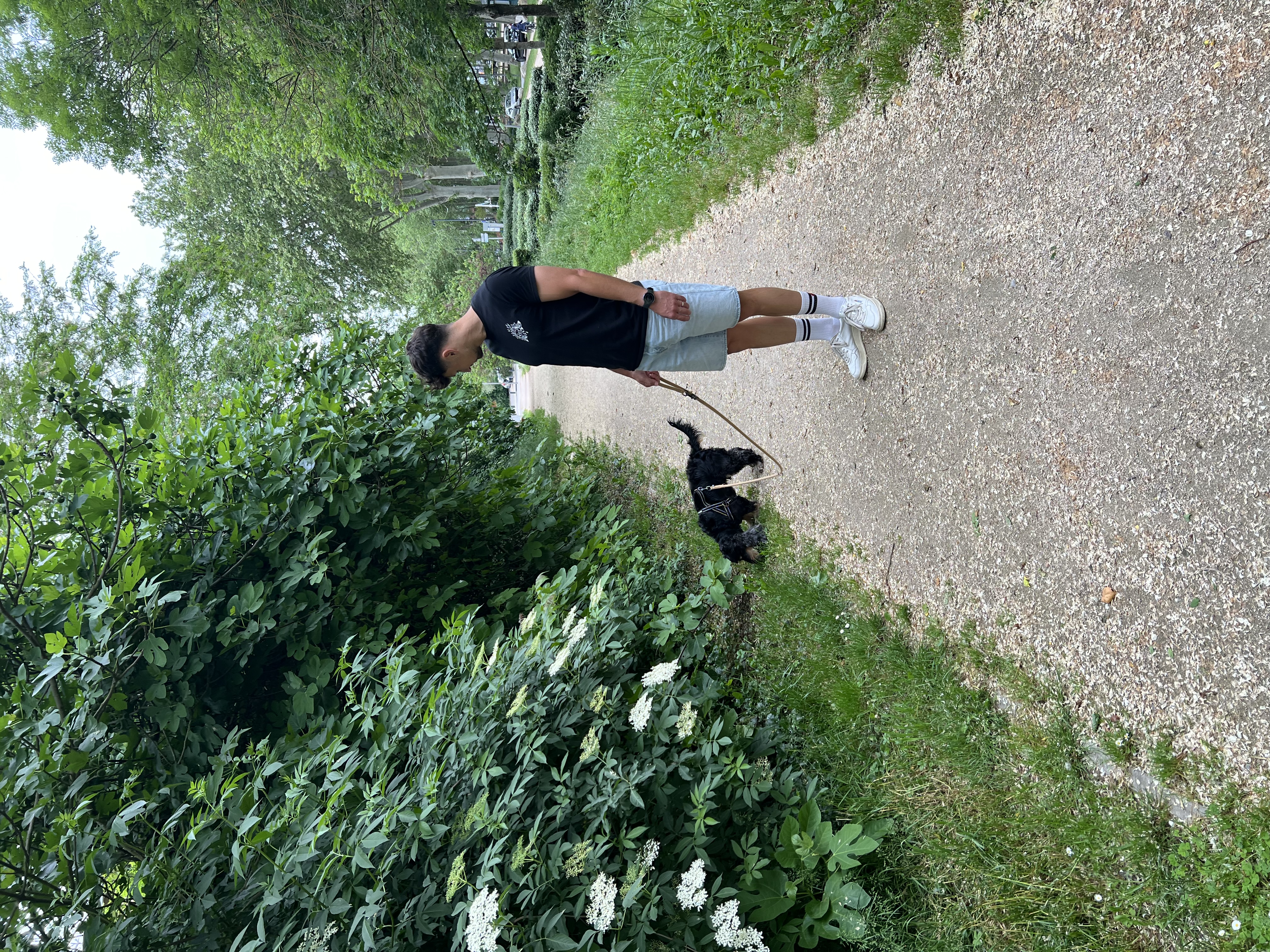 image-4