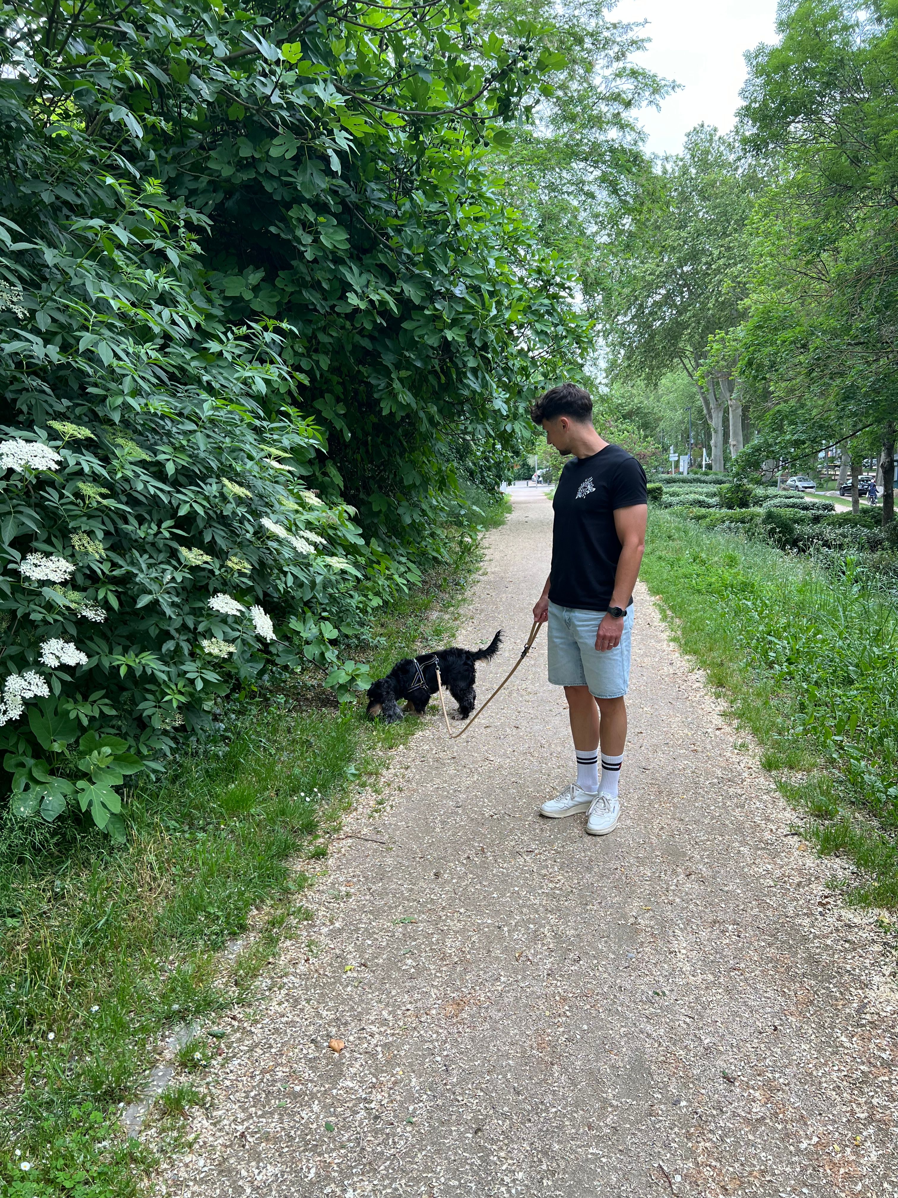 image-4