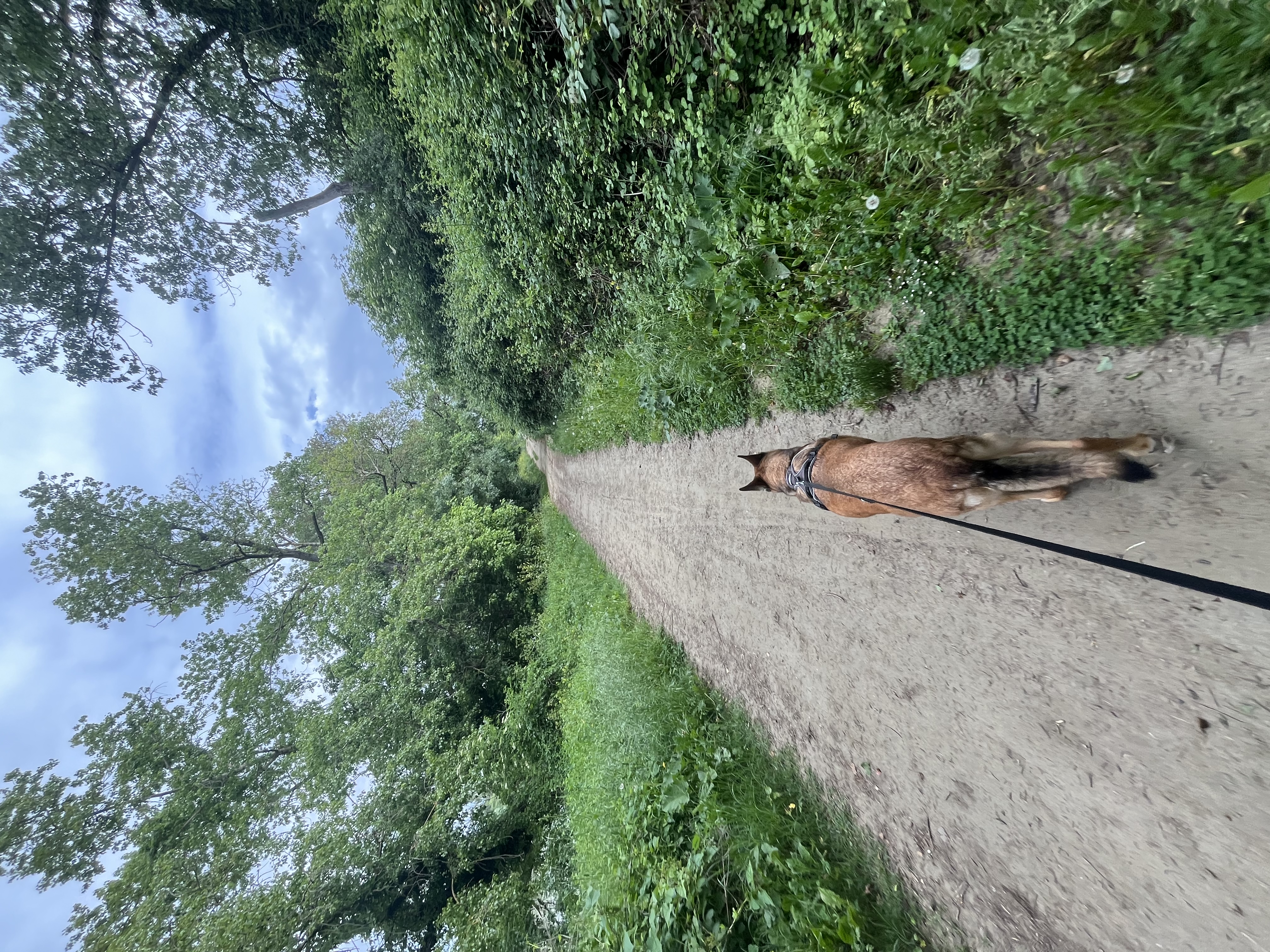 image-10