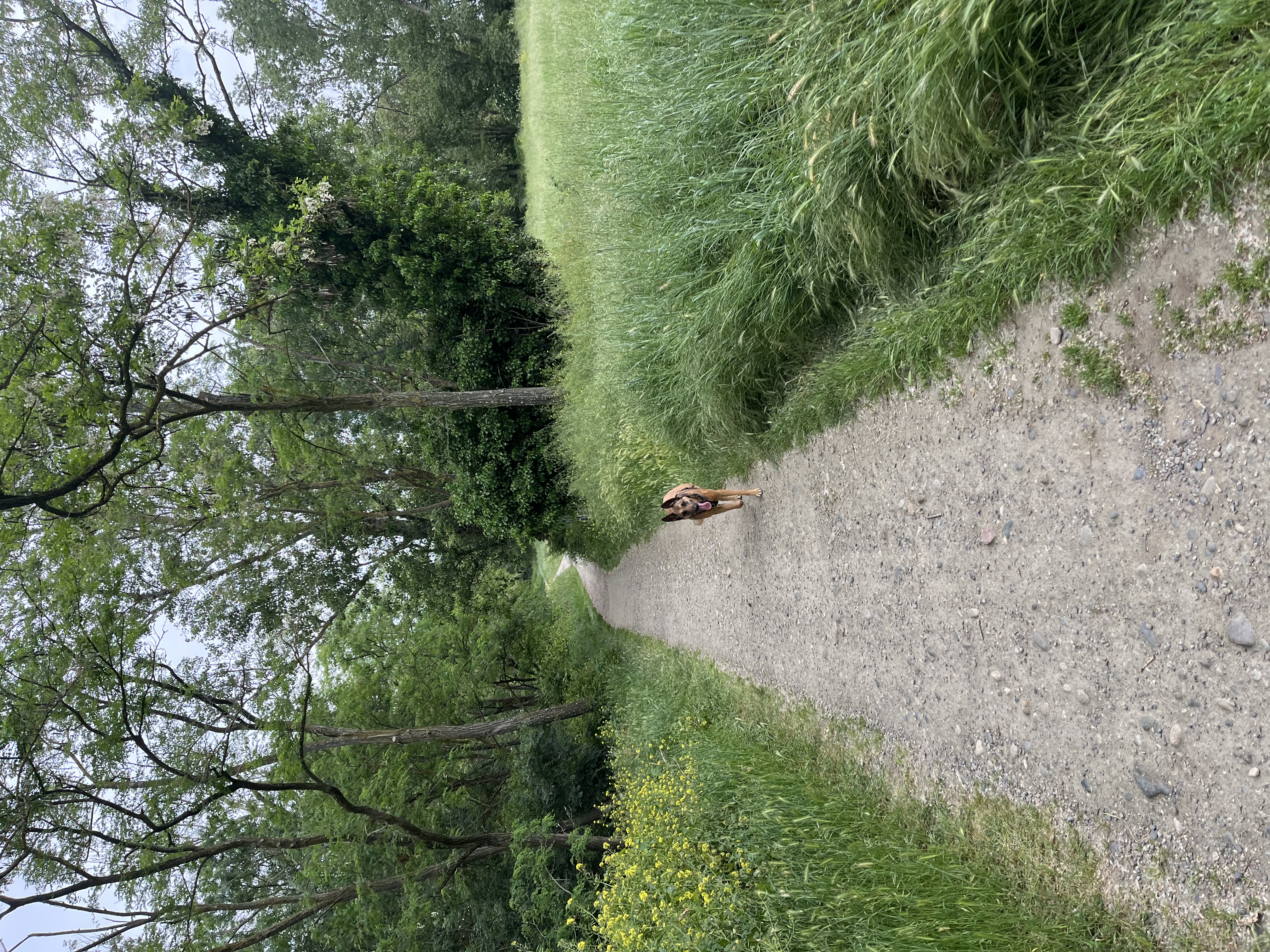 image-9
