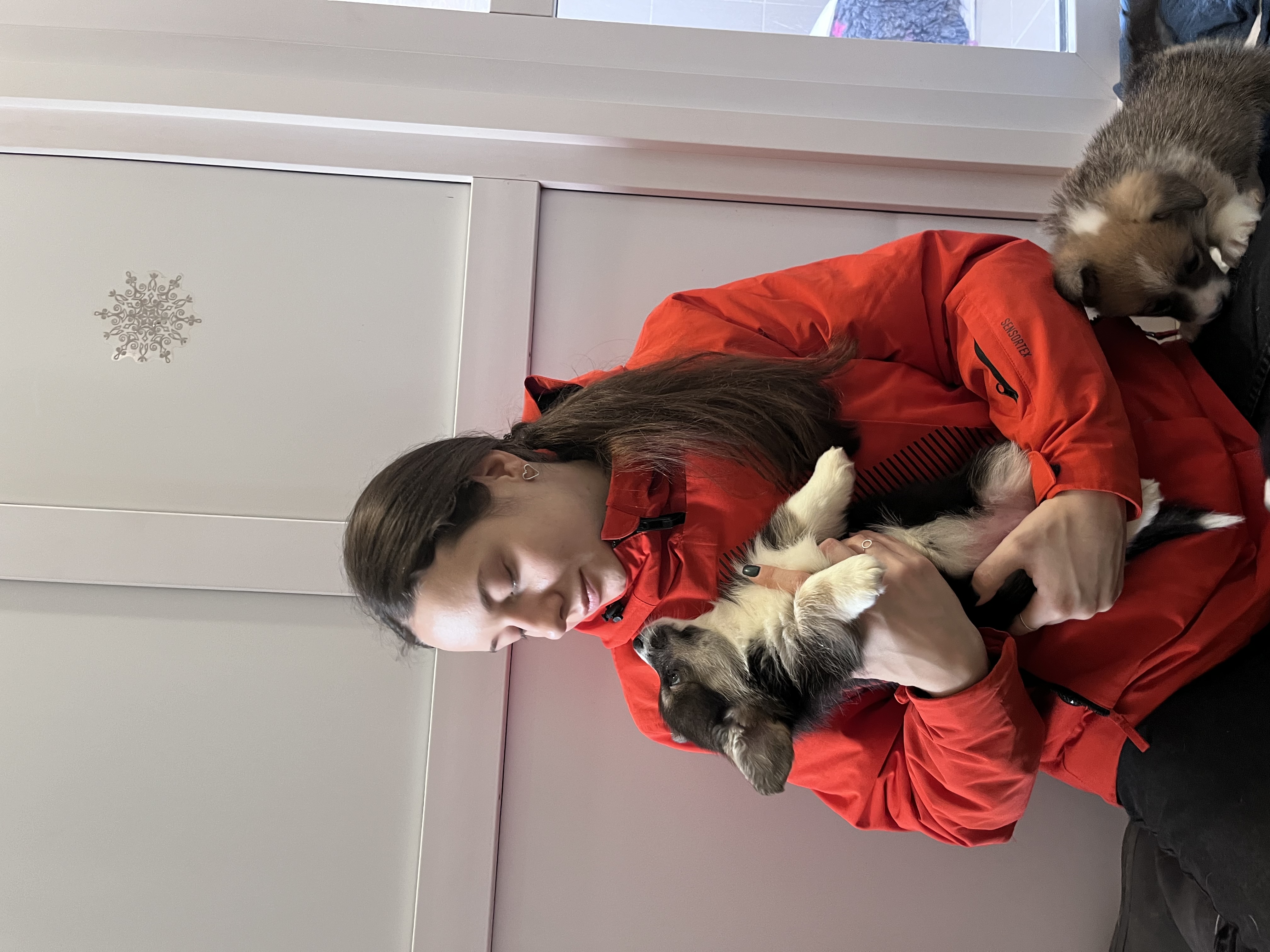 image-9