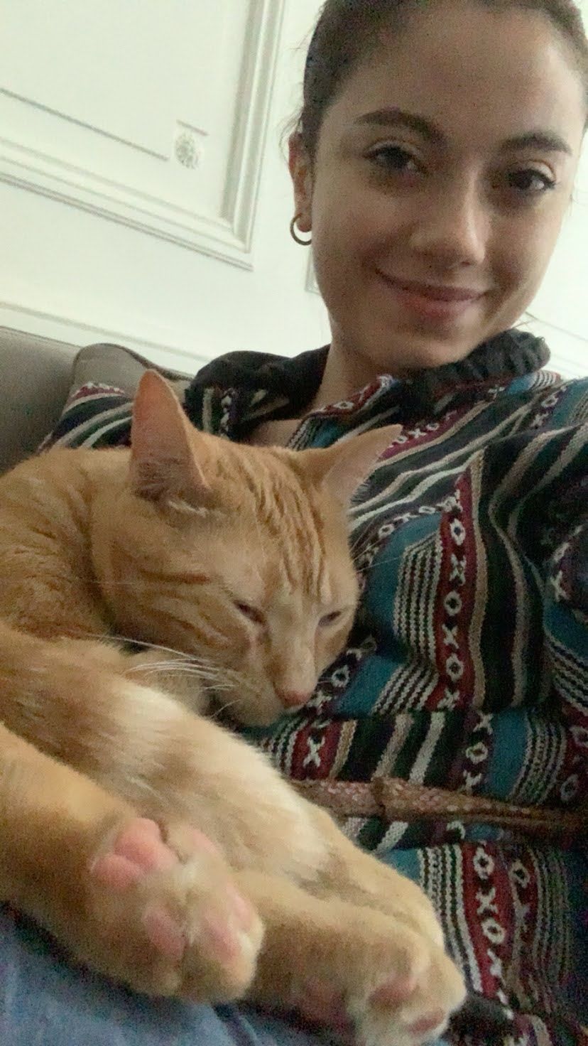 image-2