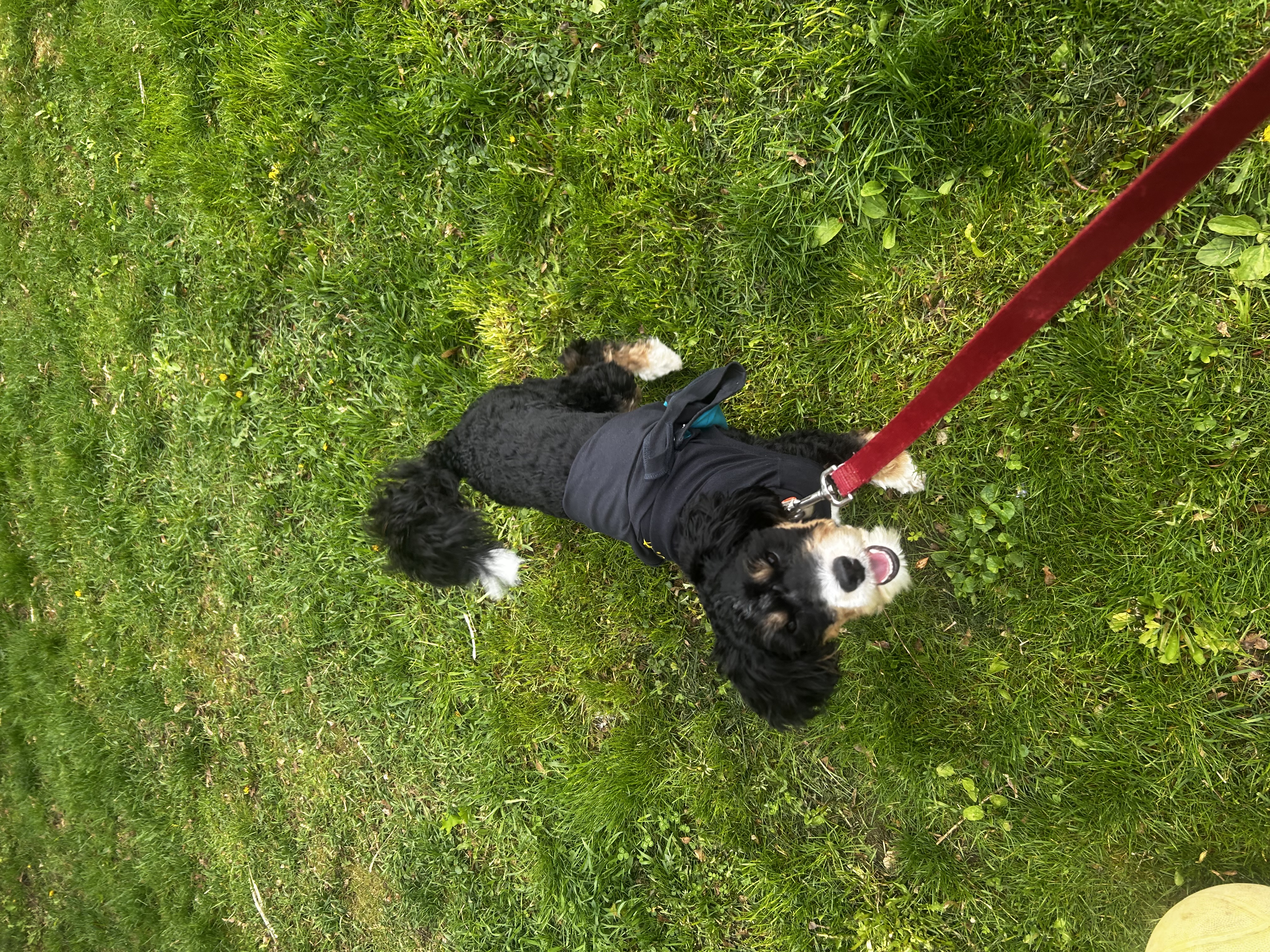 image-12