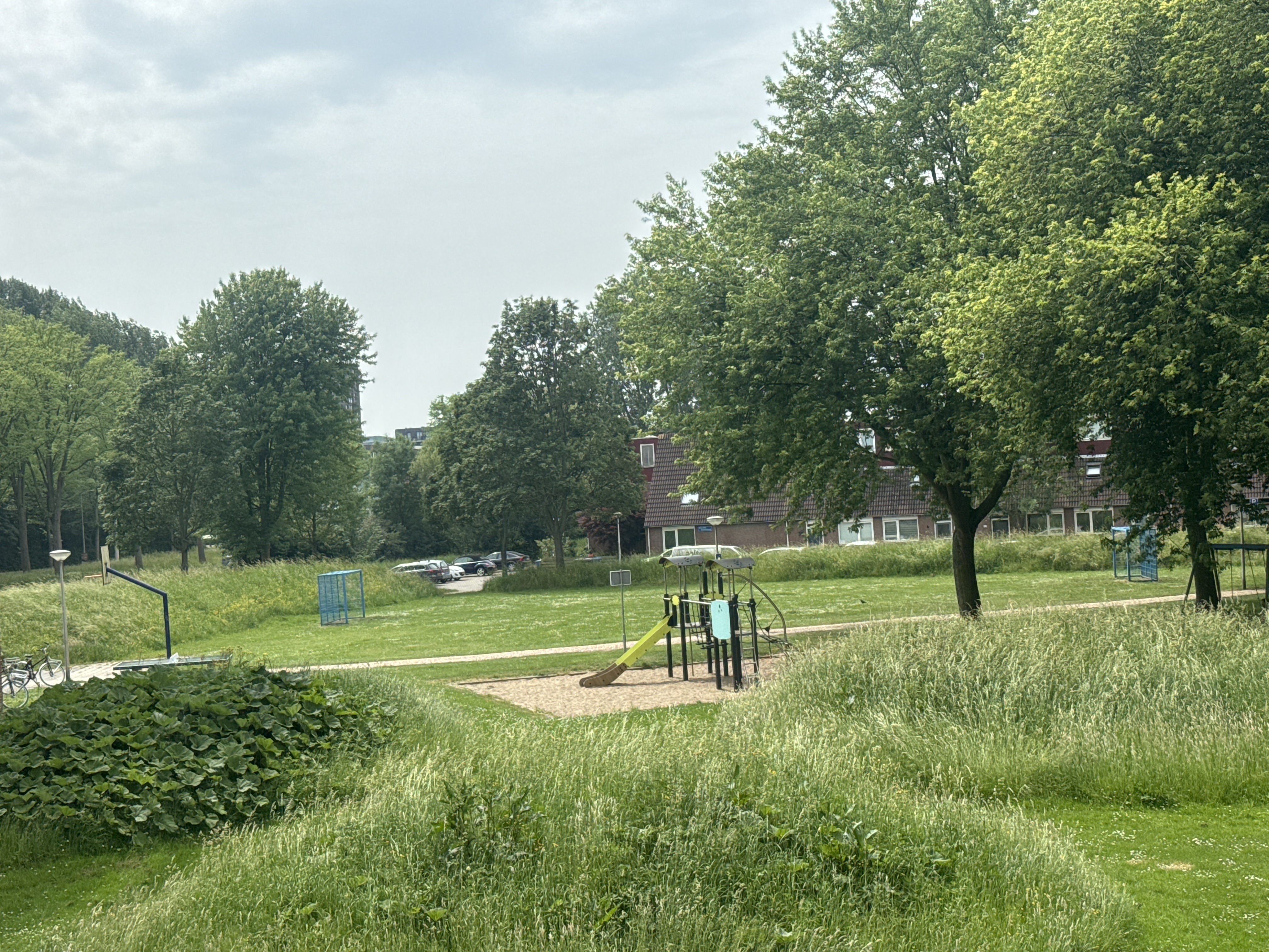 image-29