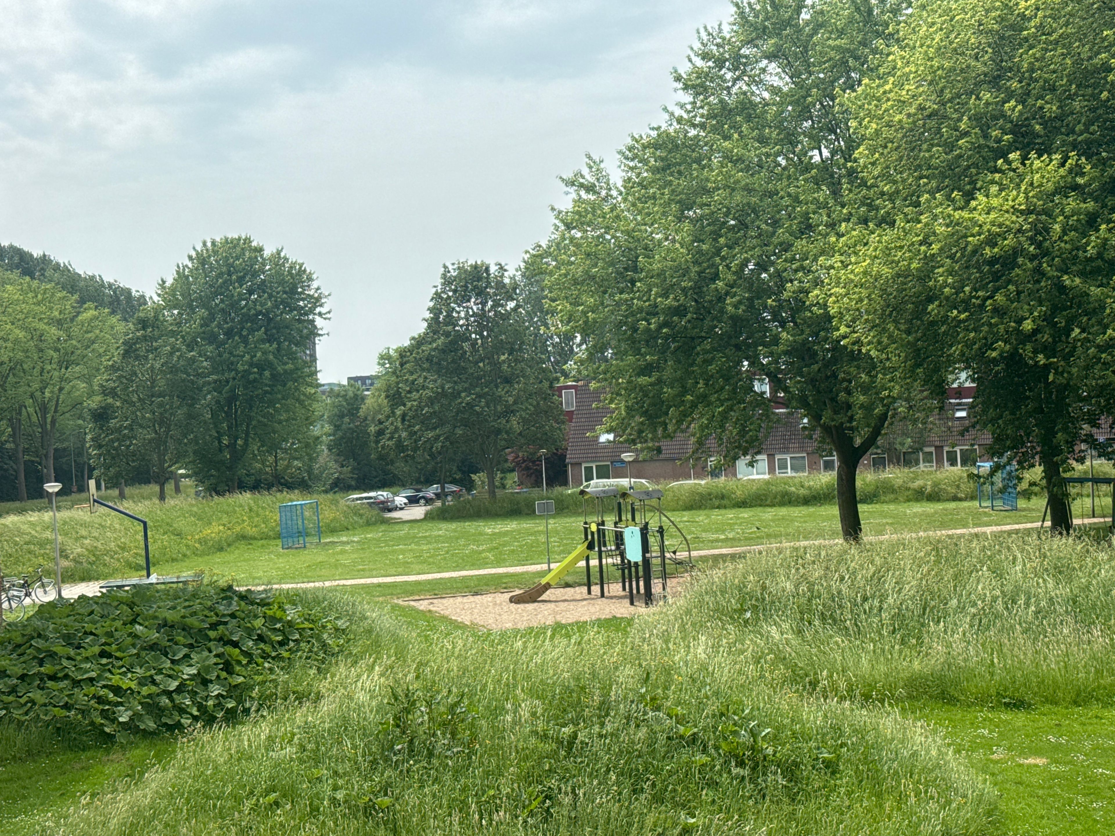 image-29