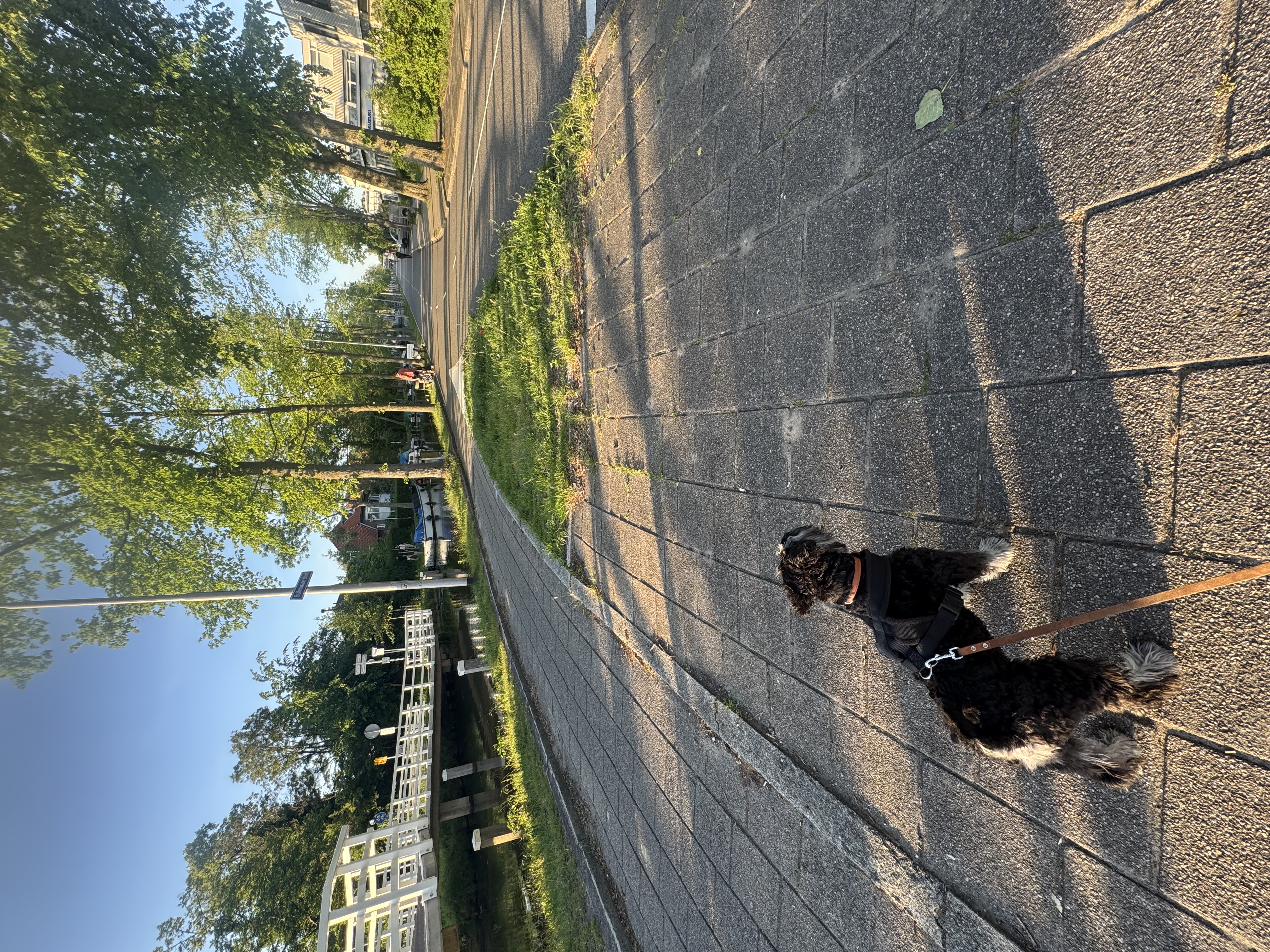 image-23